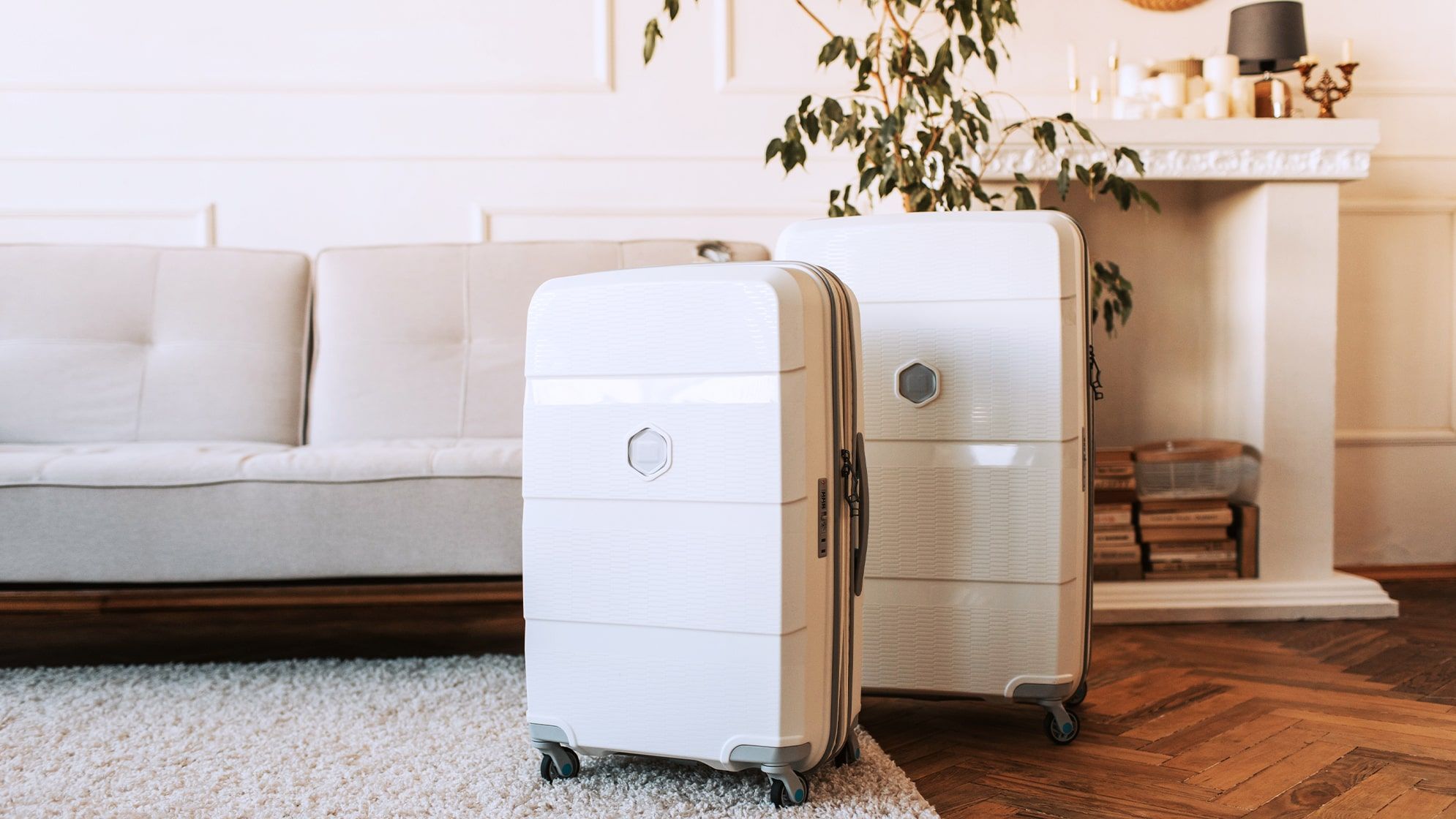 Two white suitcases in a living room in front of a small indoor tree