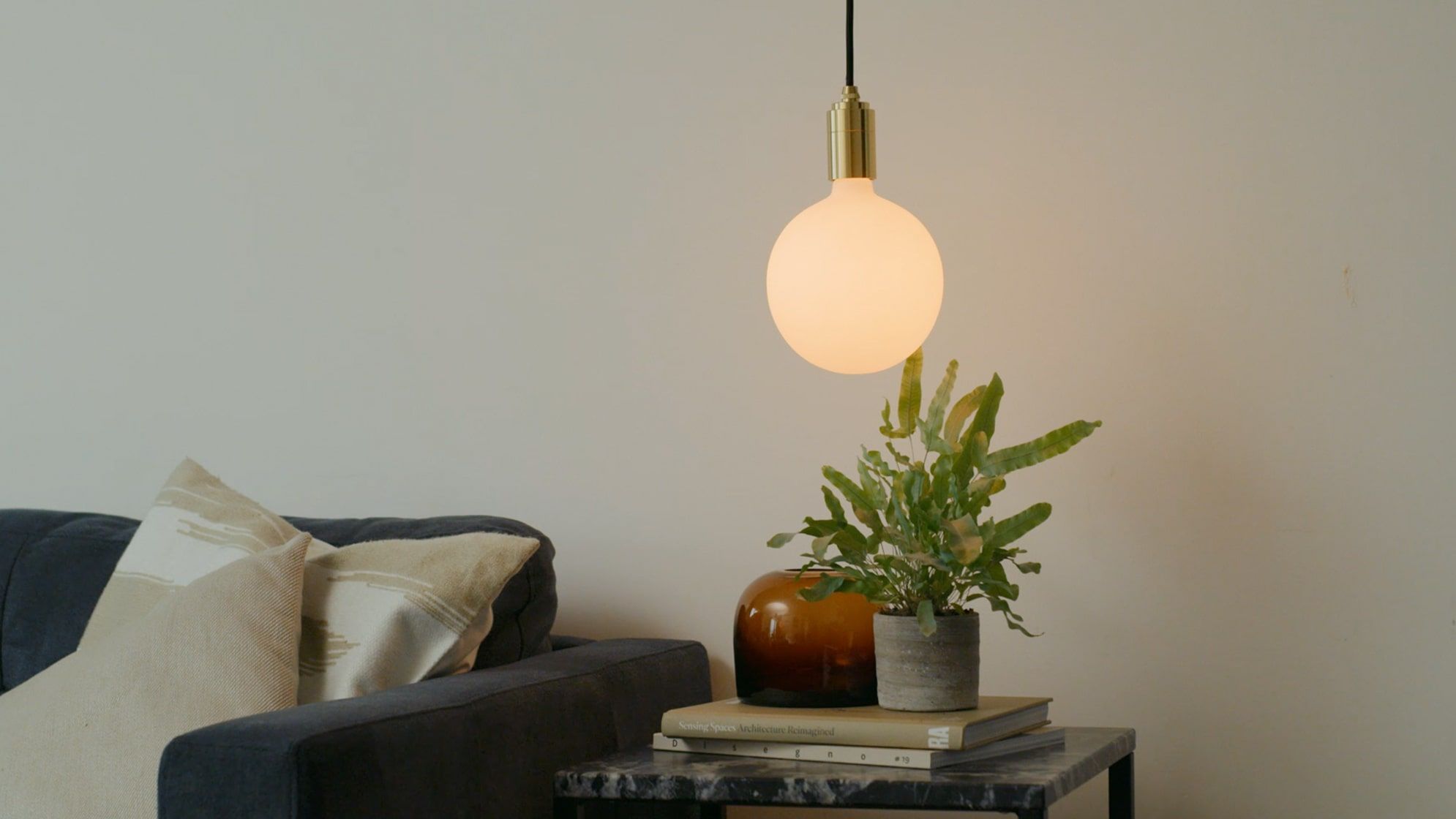 Blue star fern in a living room on a side table with a hanging orb bulb