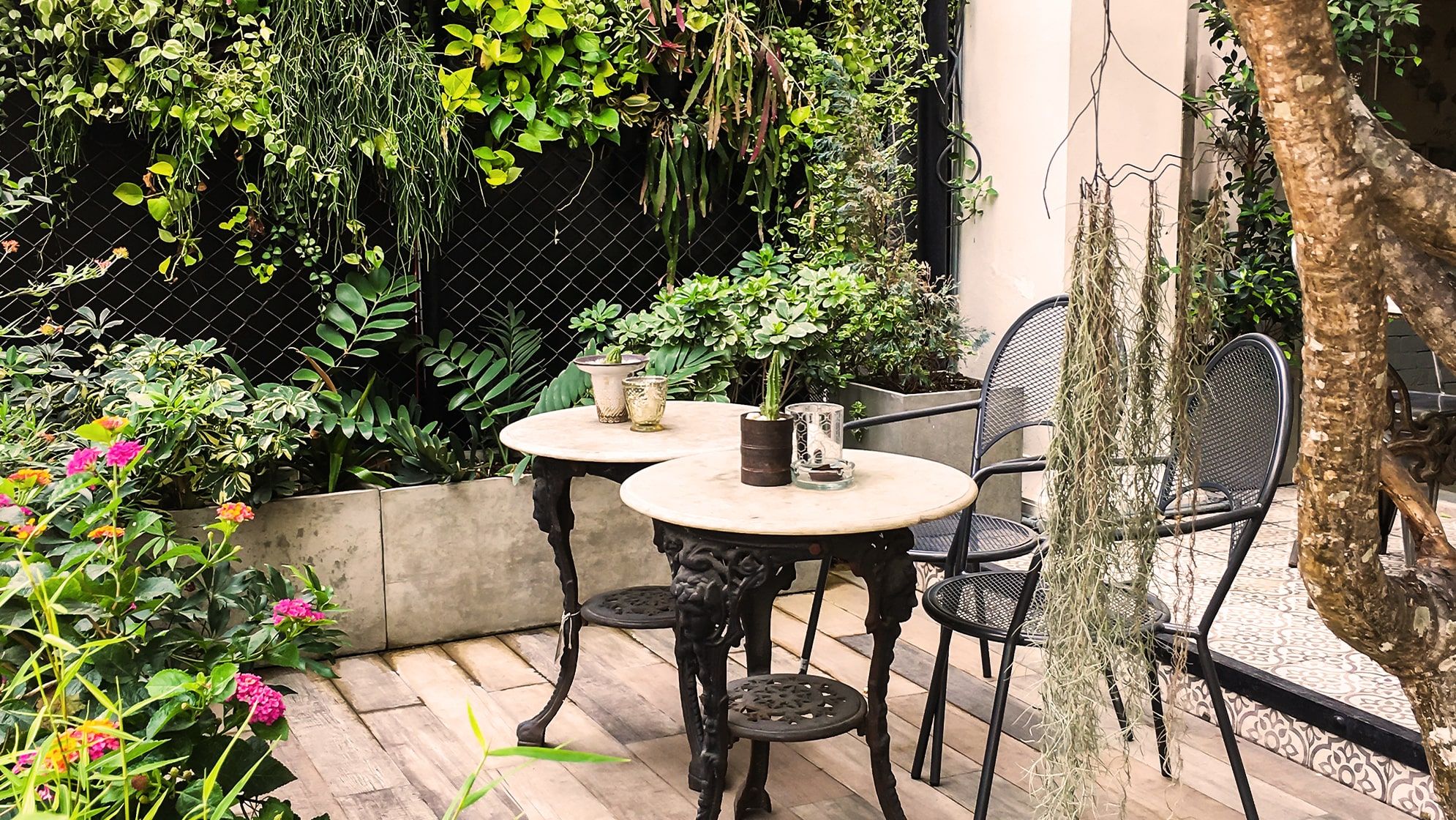 Outdoor plants in a patio garden with a table and chairs, flowers in planters and a trellis for climbing plants