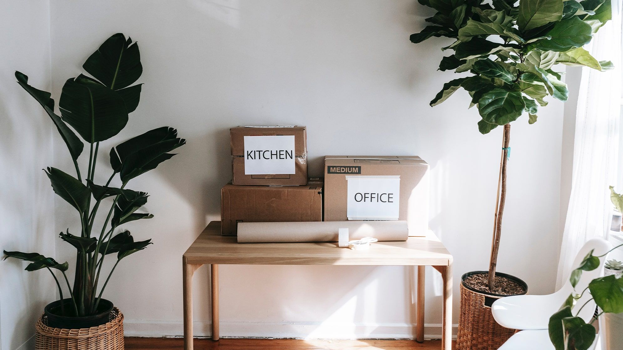 Moving boxes on a table, with a fiddle leaf fig tree and banana leaf plant in wicker basket pots