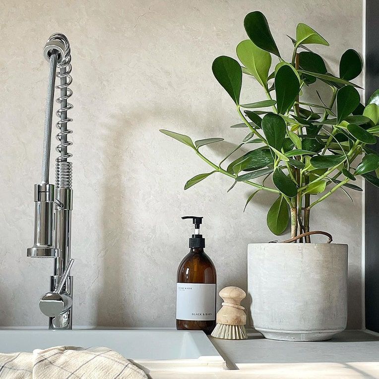 Jade plant in a light concrete pot above a kitchen sink