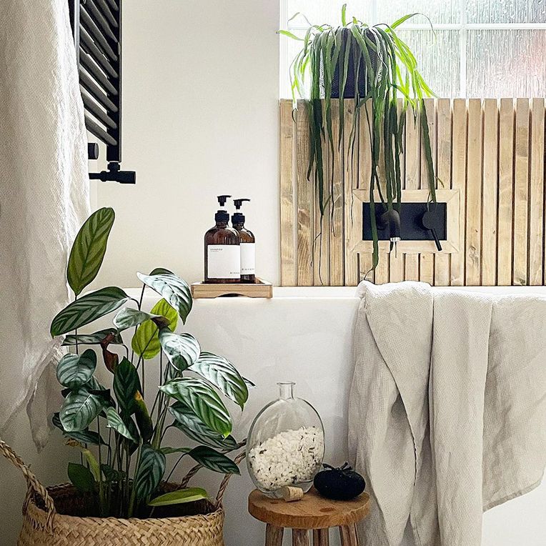 A calathea in a wicker basket sits beside a bathtub