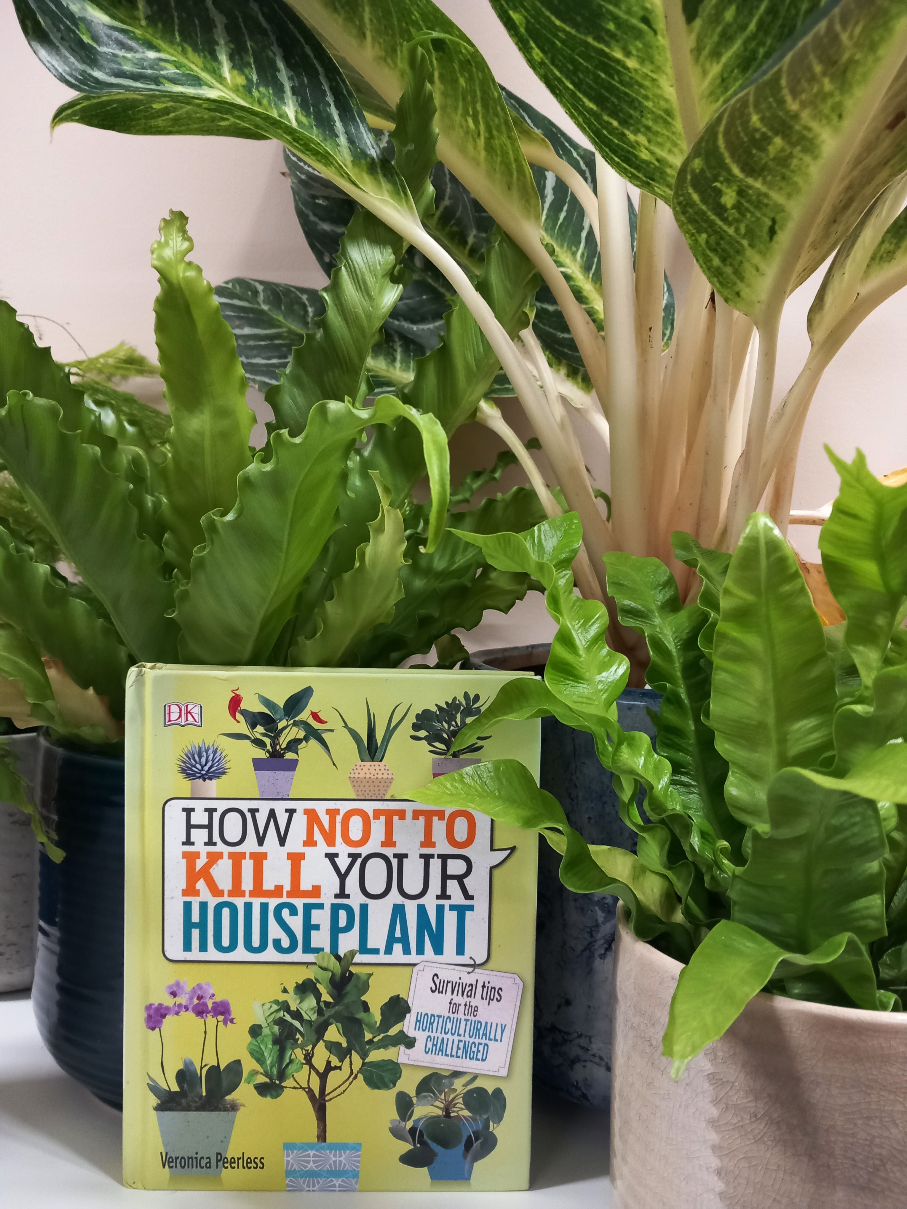 A green book reading 'How Not to Kill Your Houseplants' is propped against two plant pots