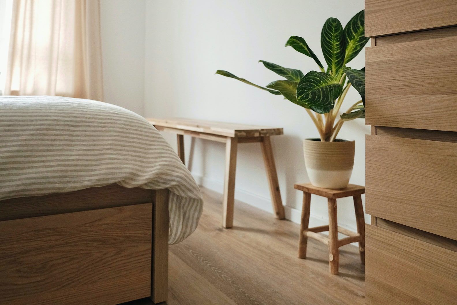 Dumb cane plant on a light wooden stool at the base of a bed