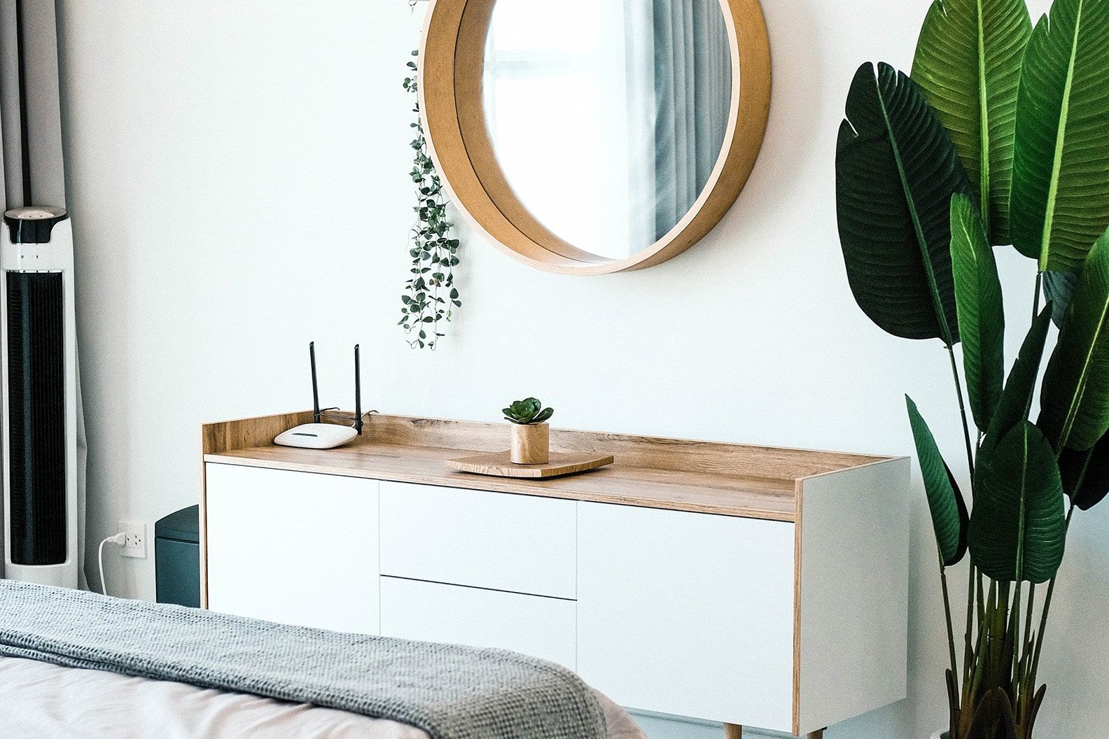 A birds of paradise plant next to a mirror with a string of hearts hanging from it and a succulent on a bedroom unit