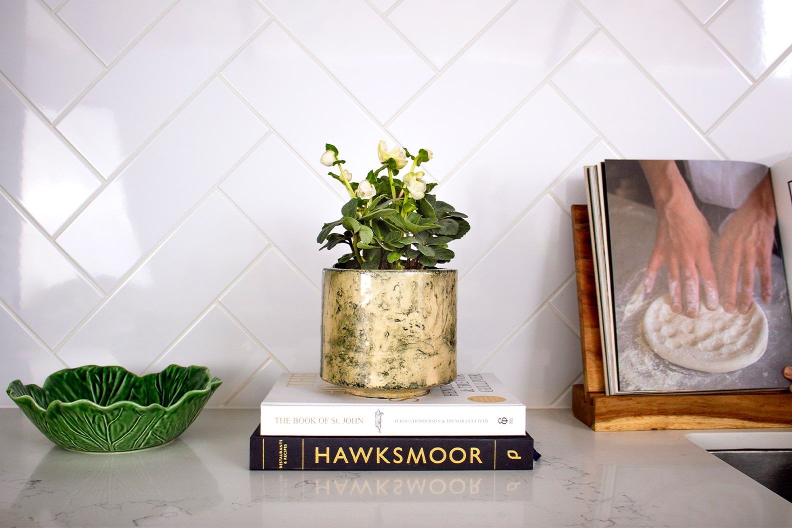 A hellebore 'Christmas Carol' in a green fractured decorative pot on a counter in a kitchen