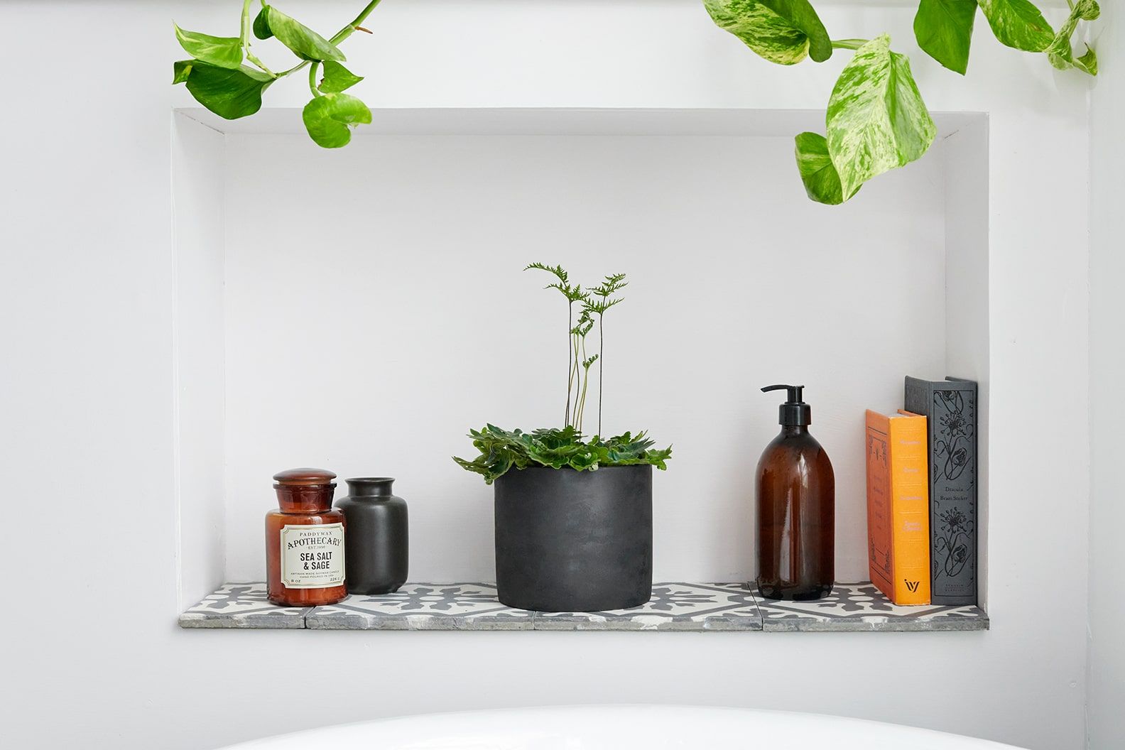 An antenna fern in a black concrete decorative pot on a shelf in a bathroom