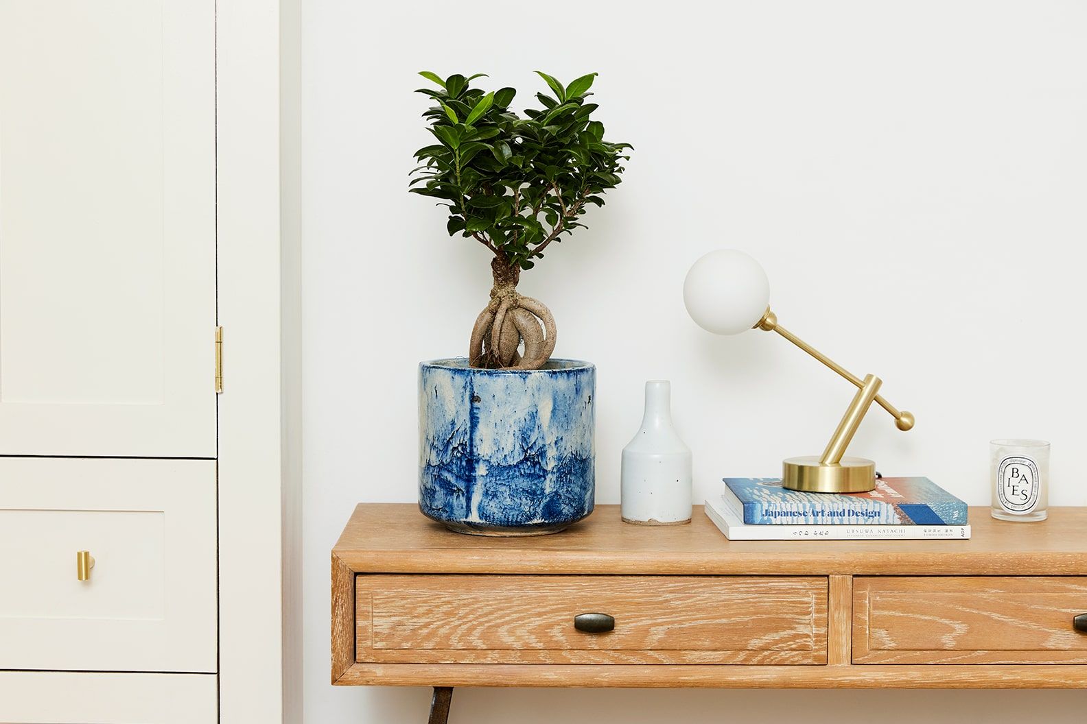 A ficus ginseng in a blue fractured decorative pot on a dressing table in a bedroom