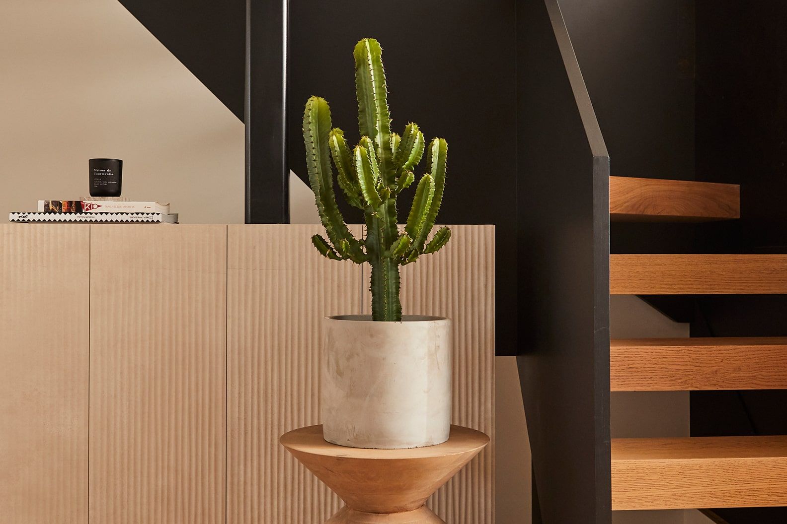 Large cowboy cactus in a light grey concrete pot on a stand next to the stairs