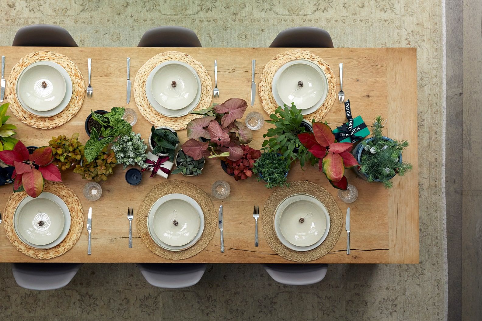 Birds-eye-view of a dining table with plants scattered down the centre.