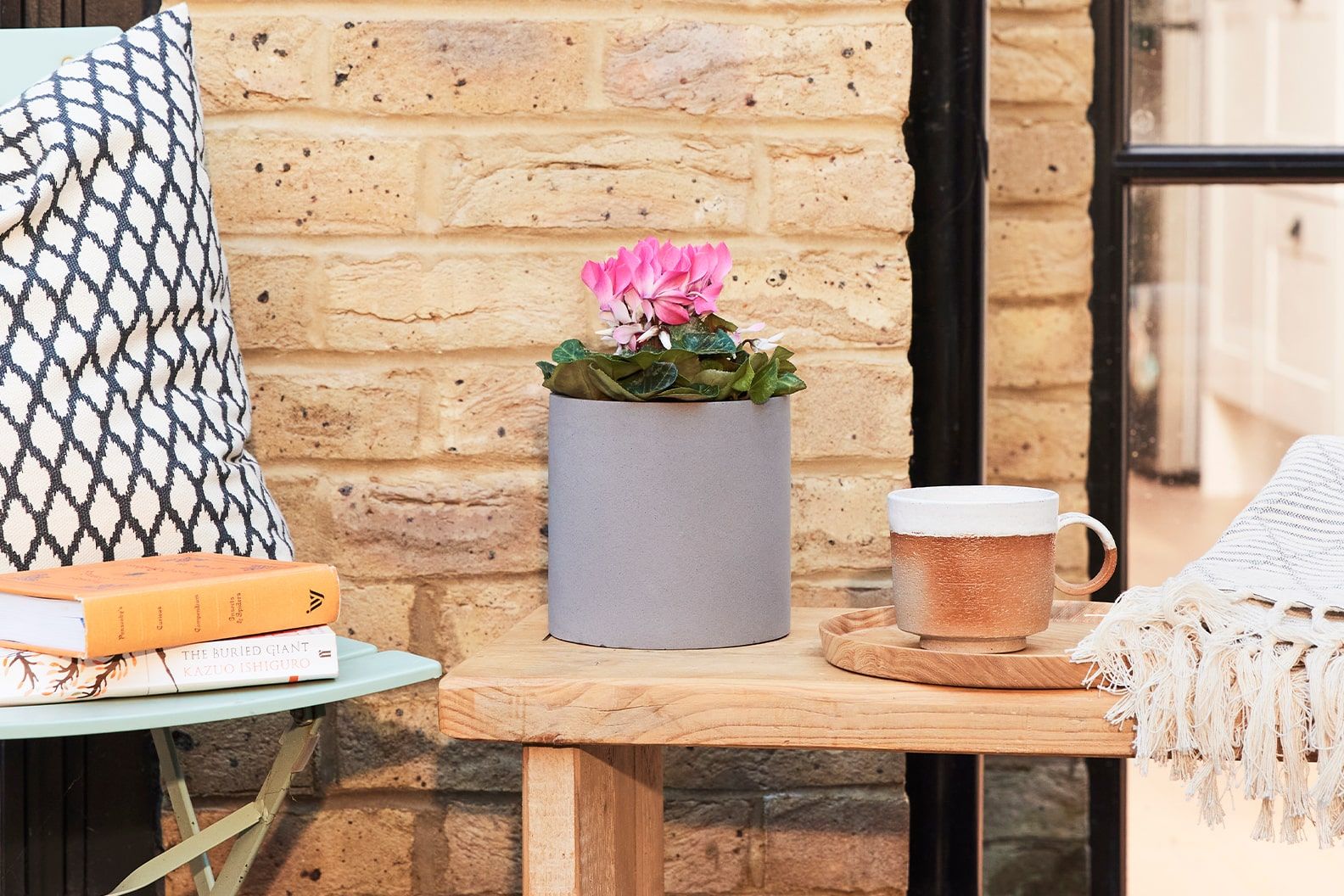 A pink cyclemen flowering plant on an outdoor table