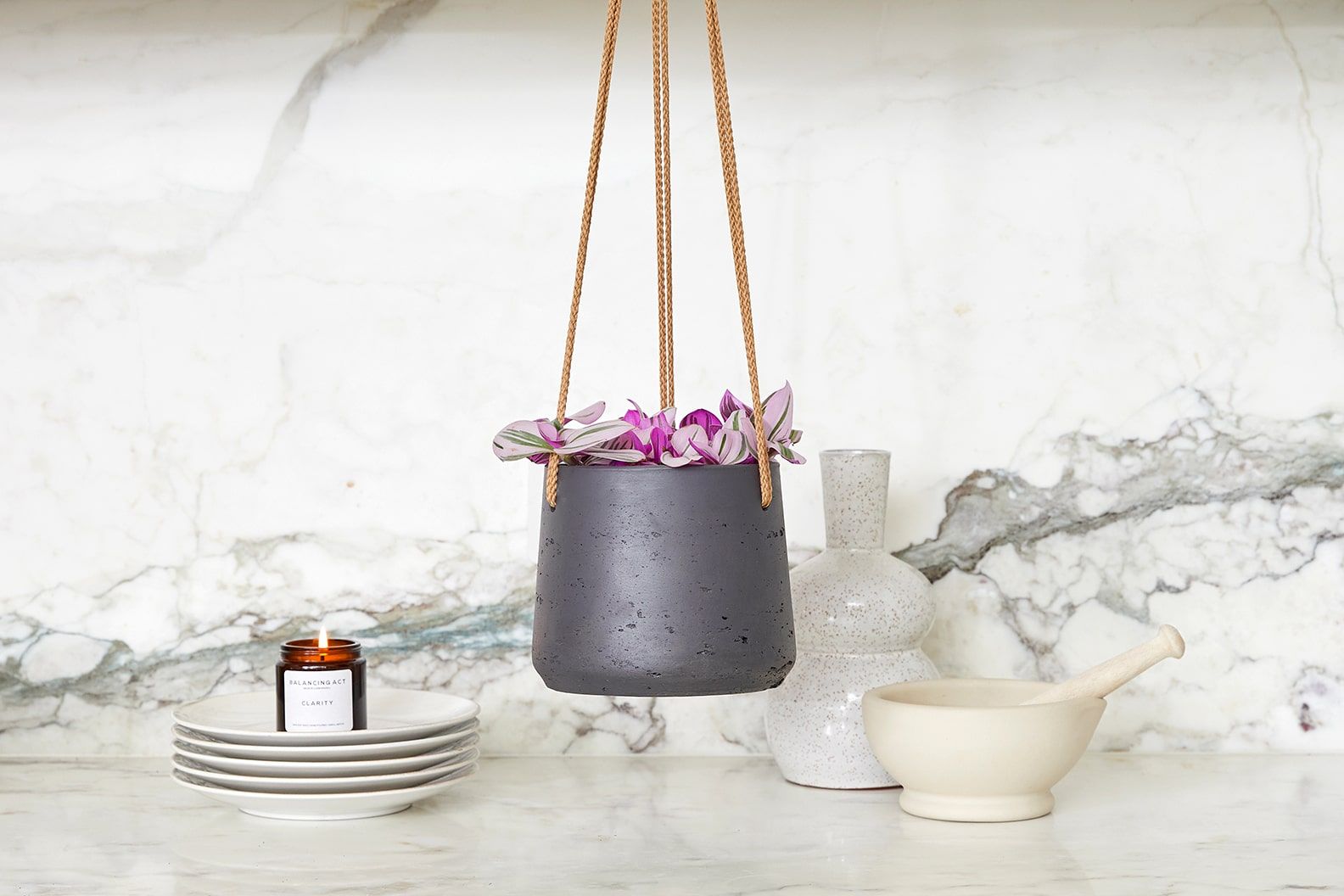 A tradescantia nanouk in a black clay hanging pot in a kitchen