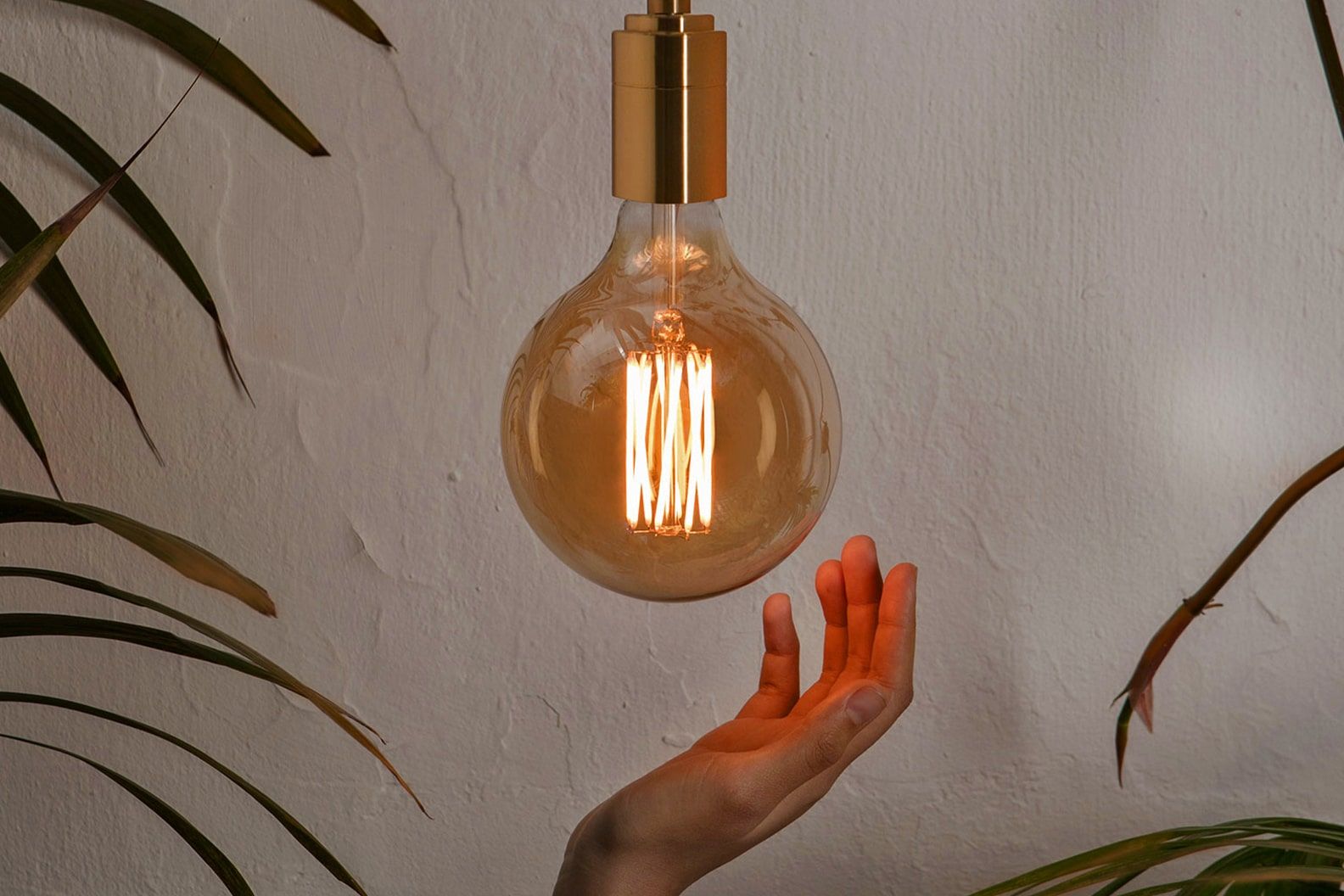 Hanging pendant bulb surrounded by kentia palm leaves