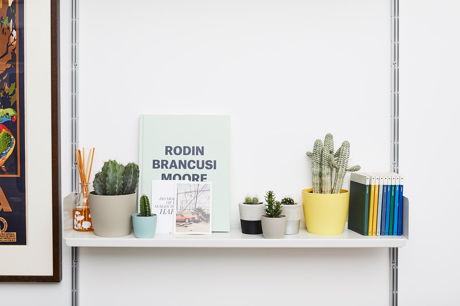 Selection of small cacti on a shelf above a desk