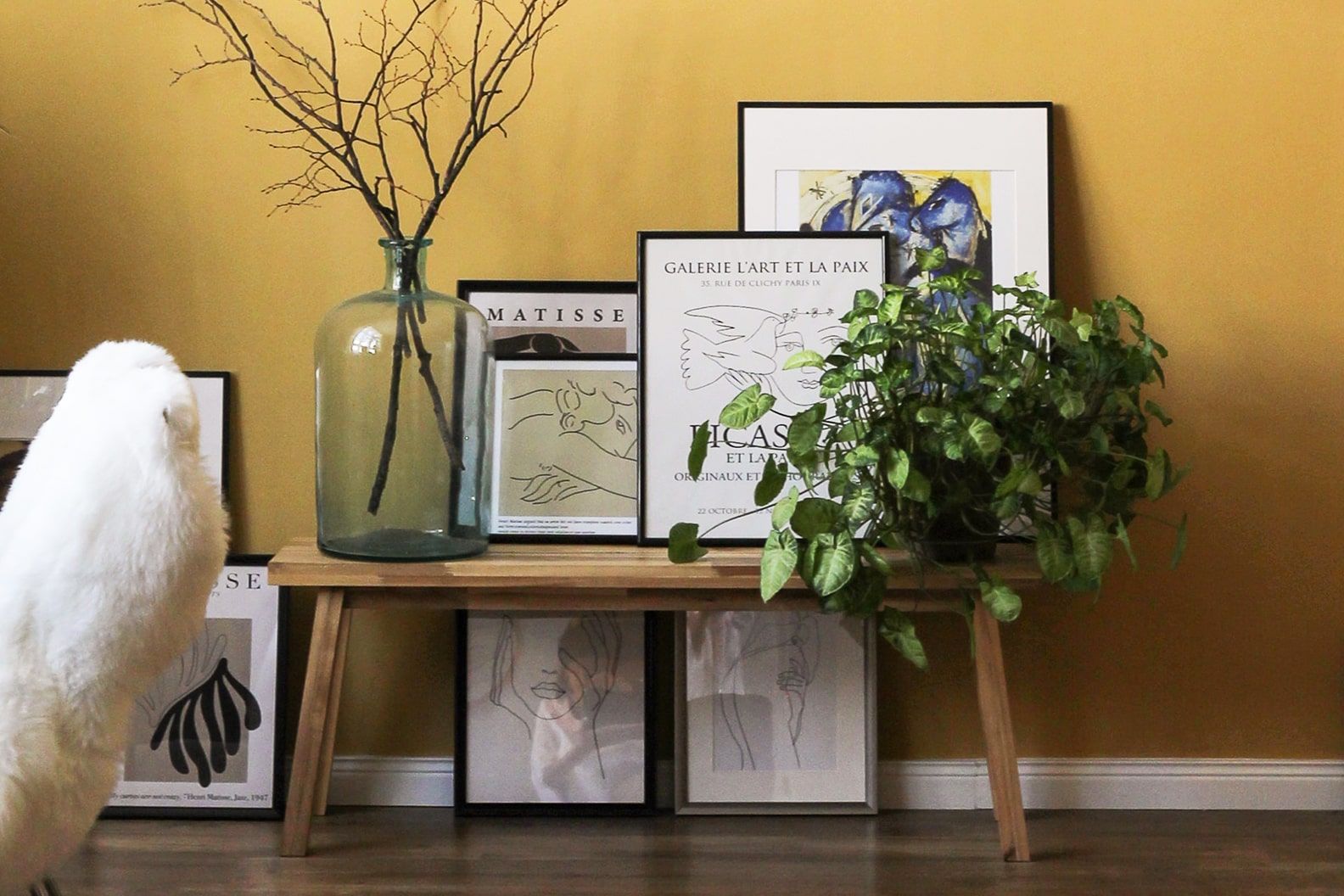 A philodendron on a bench in a living room, moved away from the window.