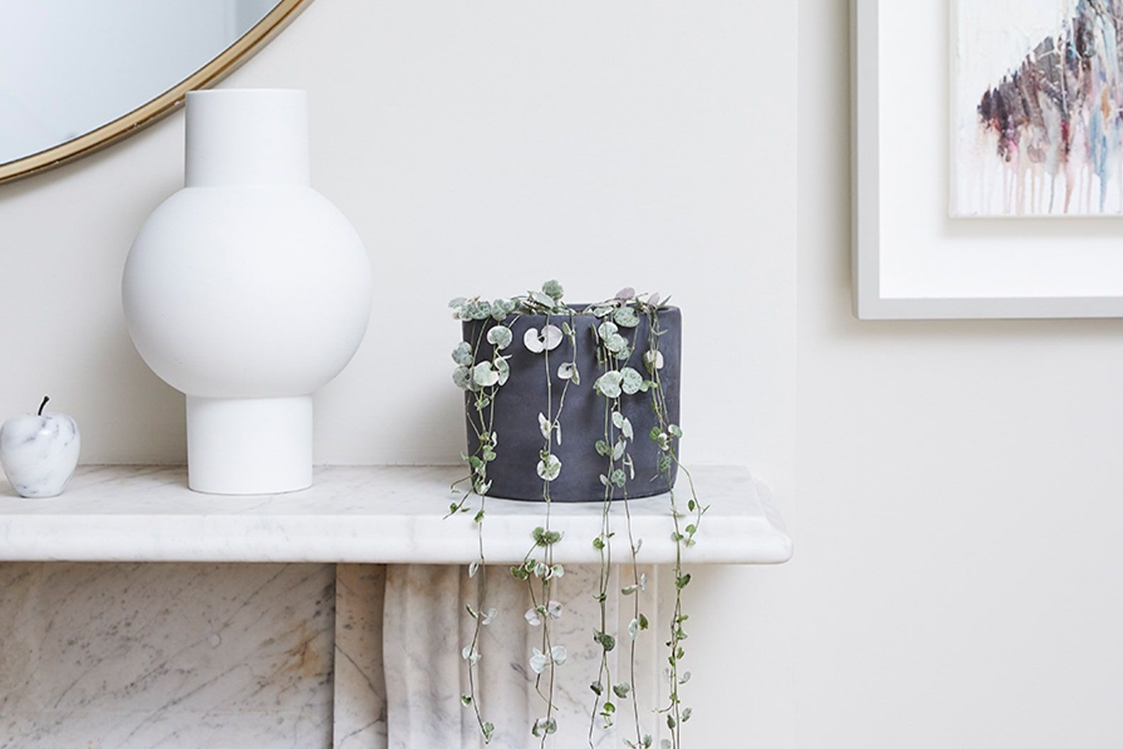 A ceropegia woodii plant on a mantlepiece in a living room