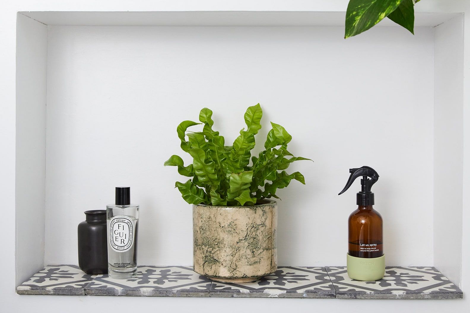 A bird's nest fern plant in a green fractured pot in a bathroom