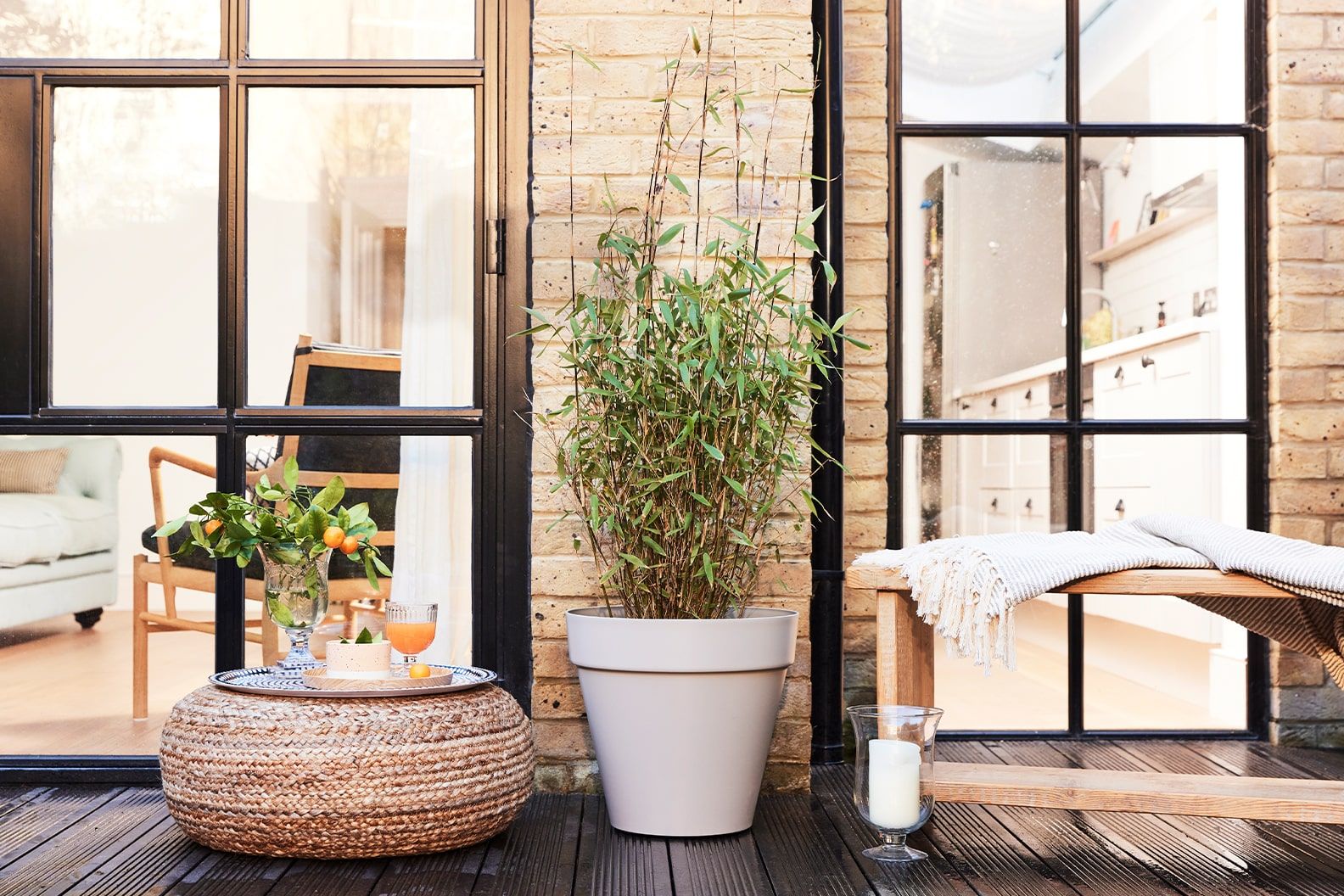 A black bamboo on an outdoor deck