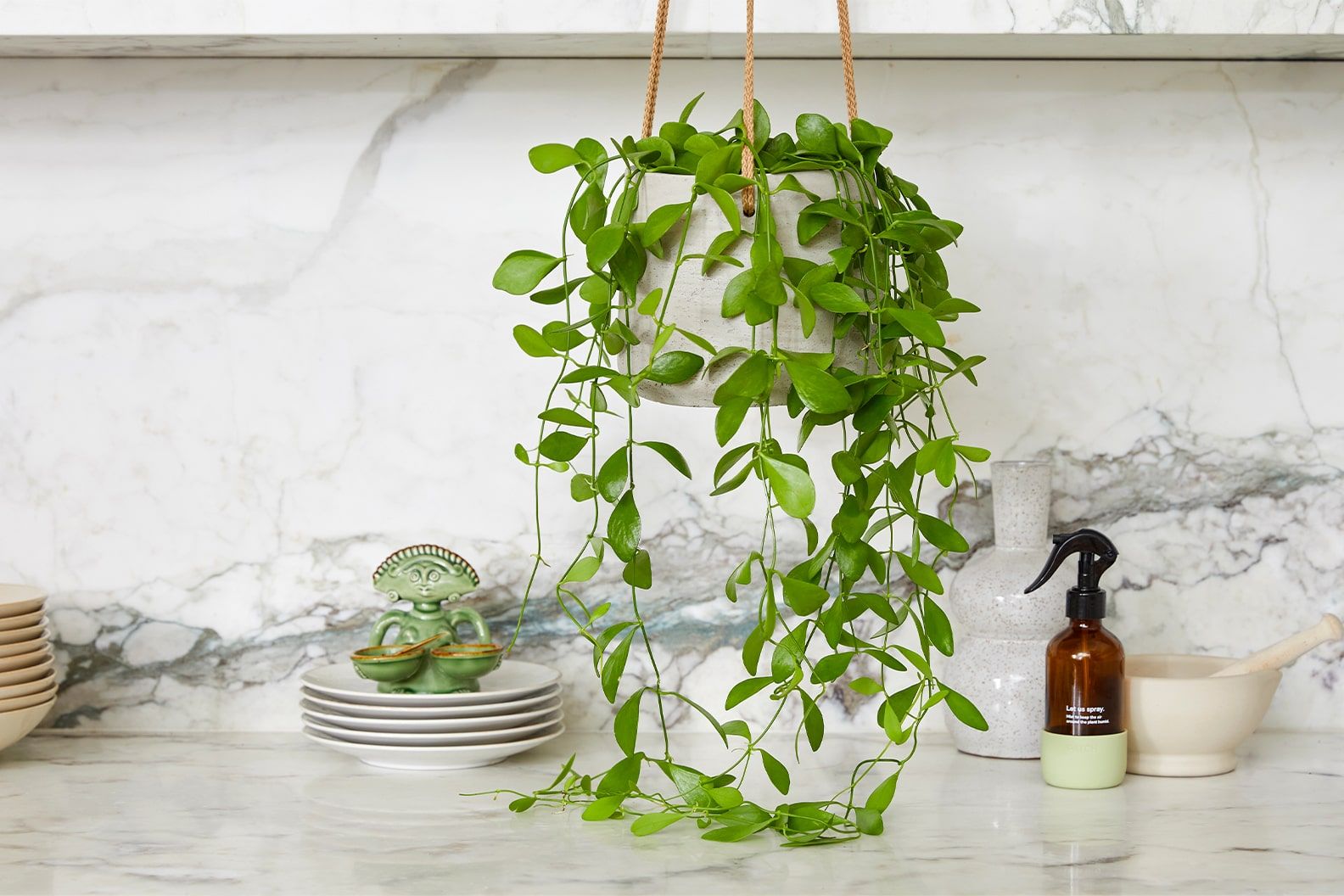 String of nickels in a grey clay hanging pot in a kitchen