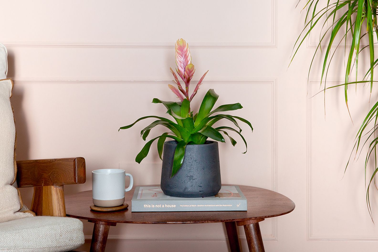 A flaming sword 'salmon' in a decorative pot on a side table in a living room