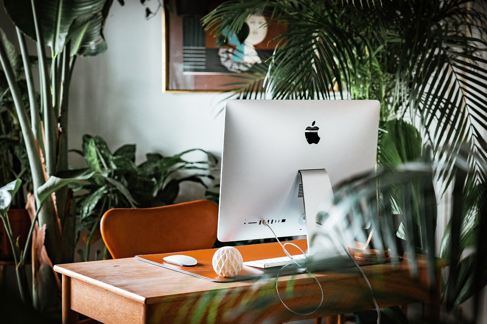 A desk with a desktop Mac surrounded by large plants including a kentia palm