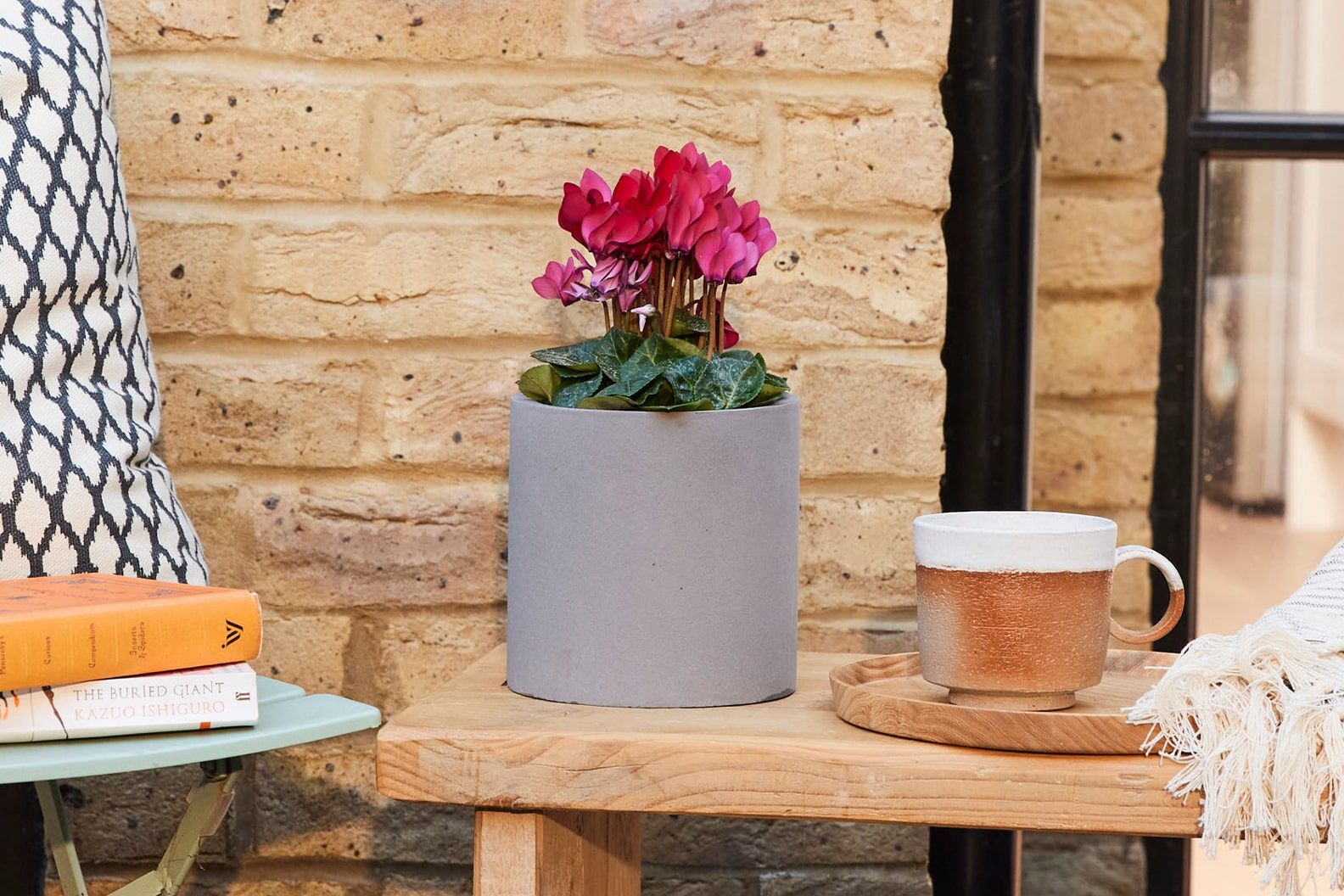 Red cyclamen in a grey fibrestone cylinder pot outside on a bench on a patio