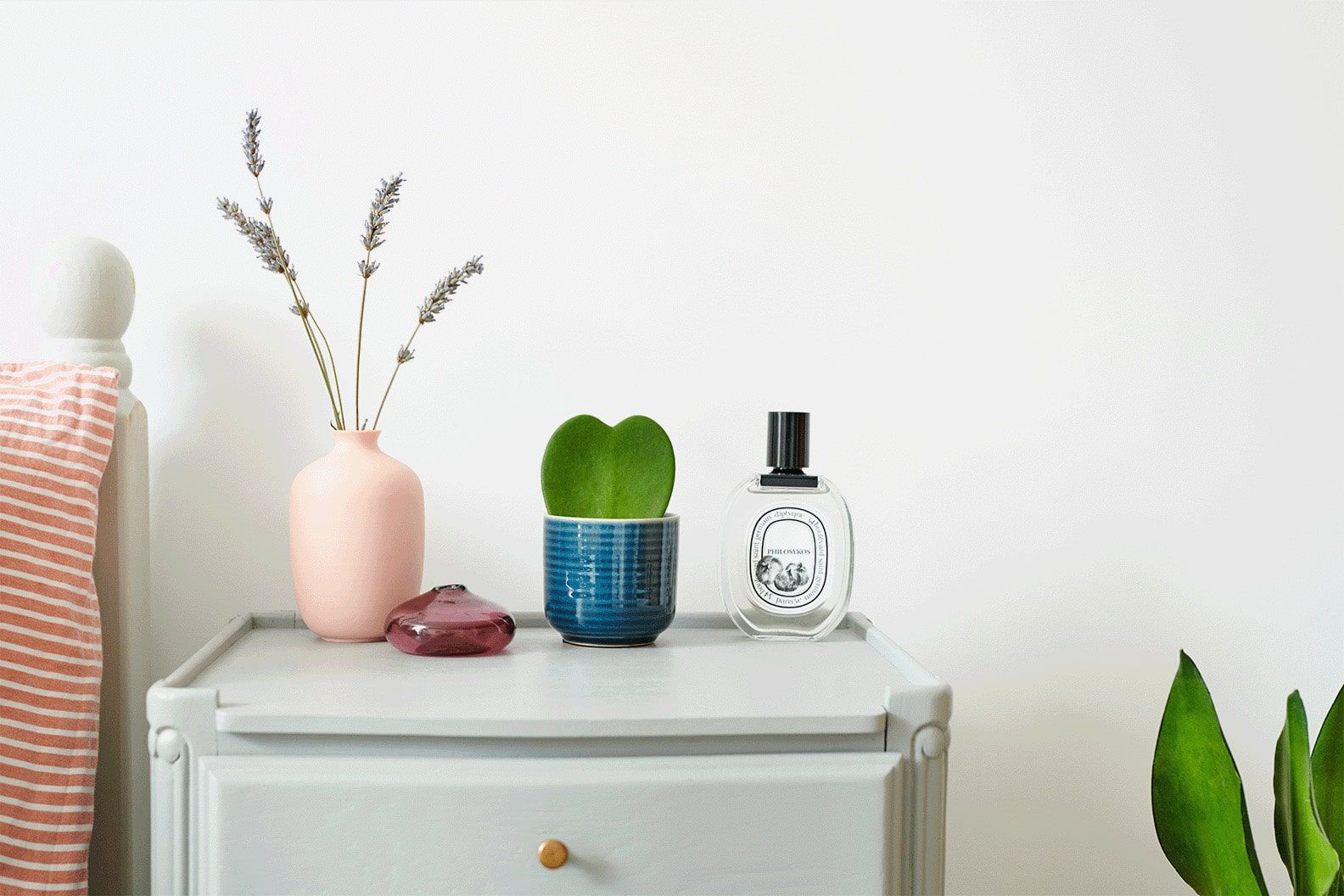 A sweetheart plant in a blue pot on a bed side table.