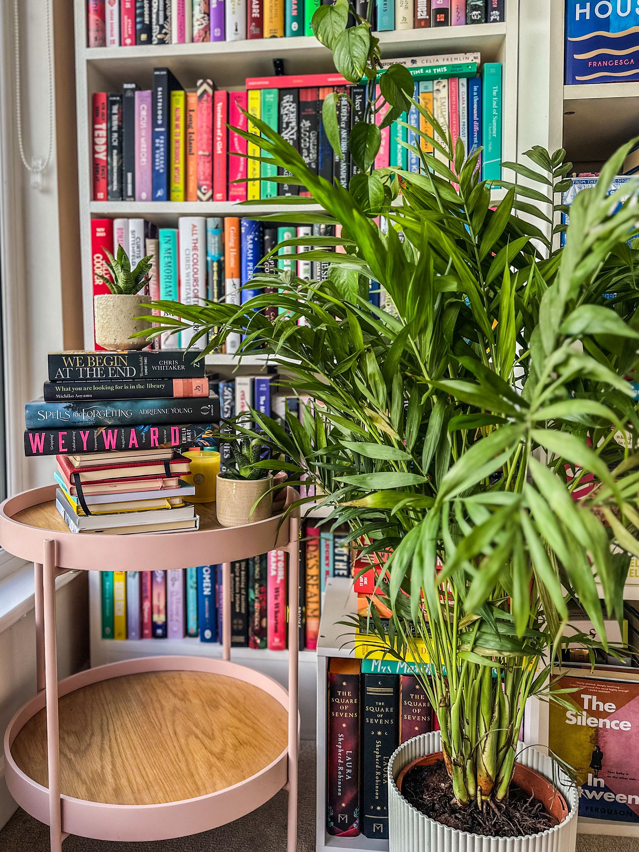 A large plant sits in front of a bookcase, next to a pink side table loaded with books.