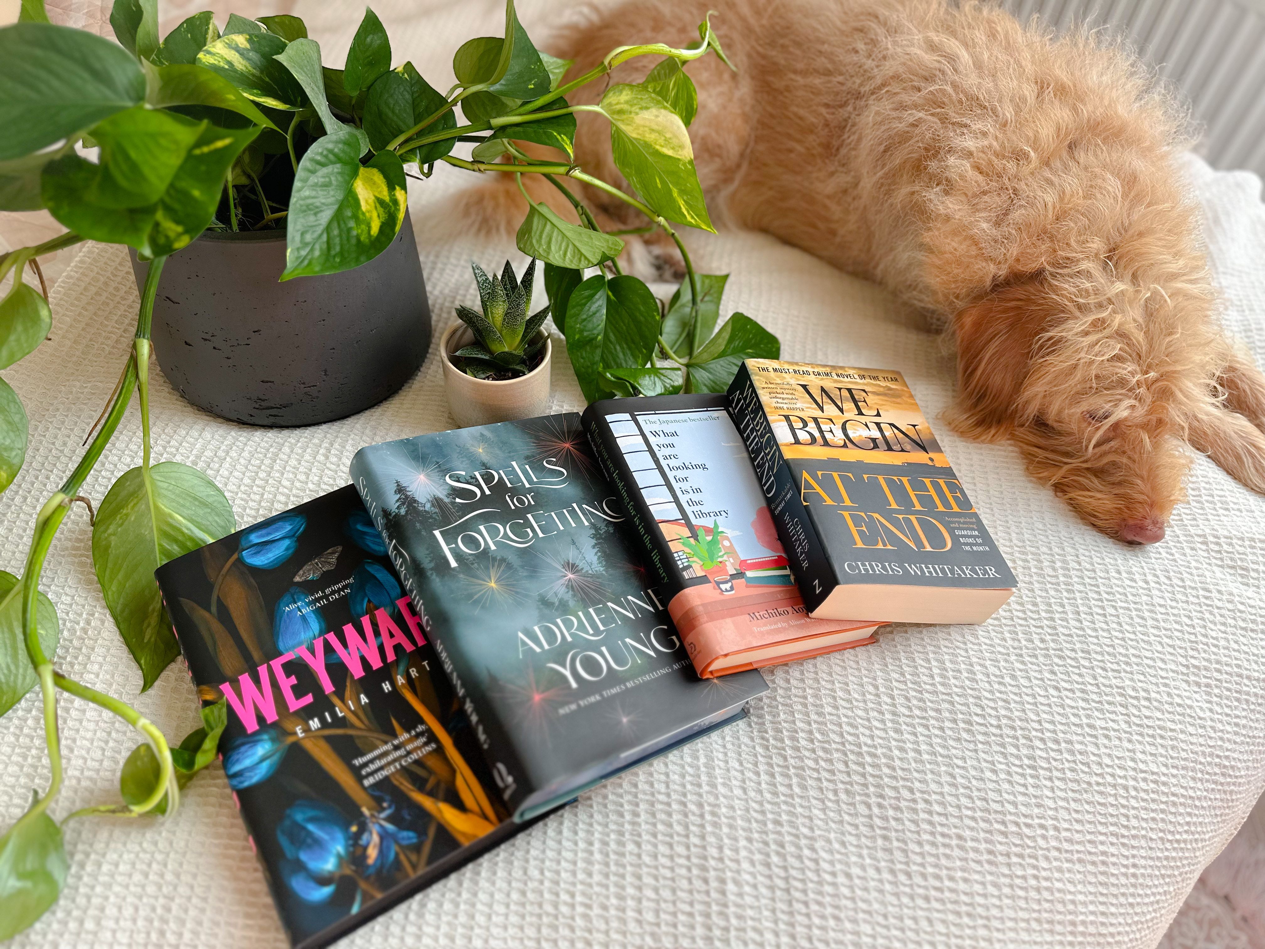 A dog lies on the bed with four books spread out next to him