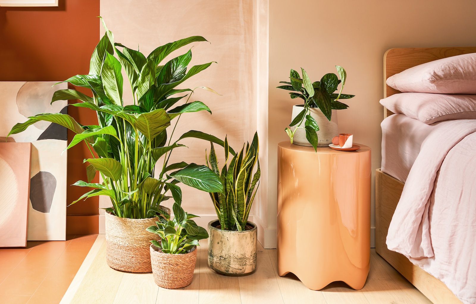 A series of plants in neutral pots in a neutral-toned bedroom