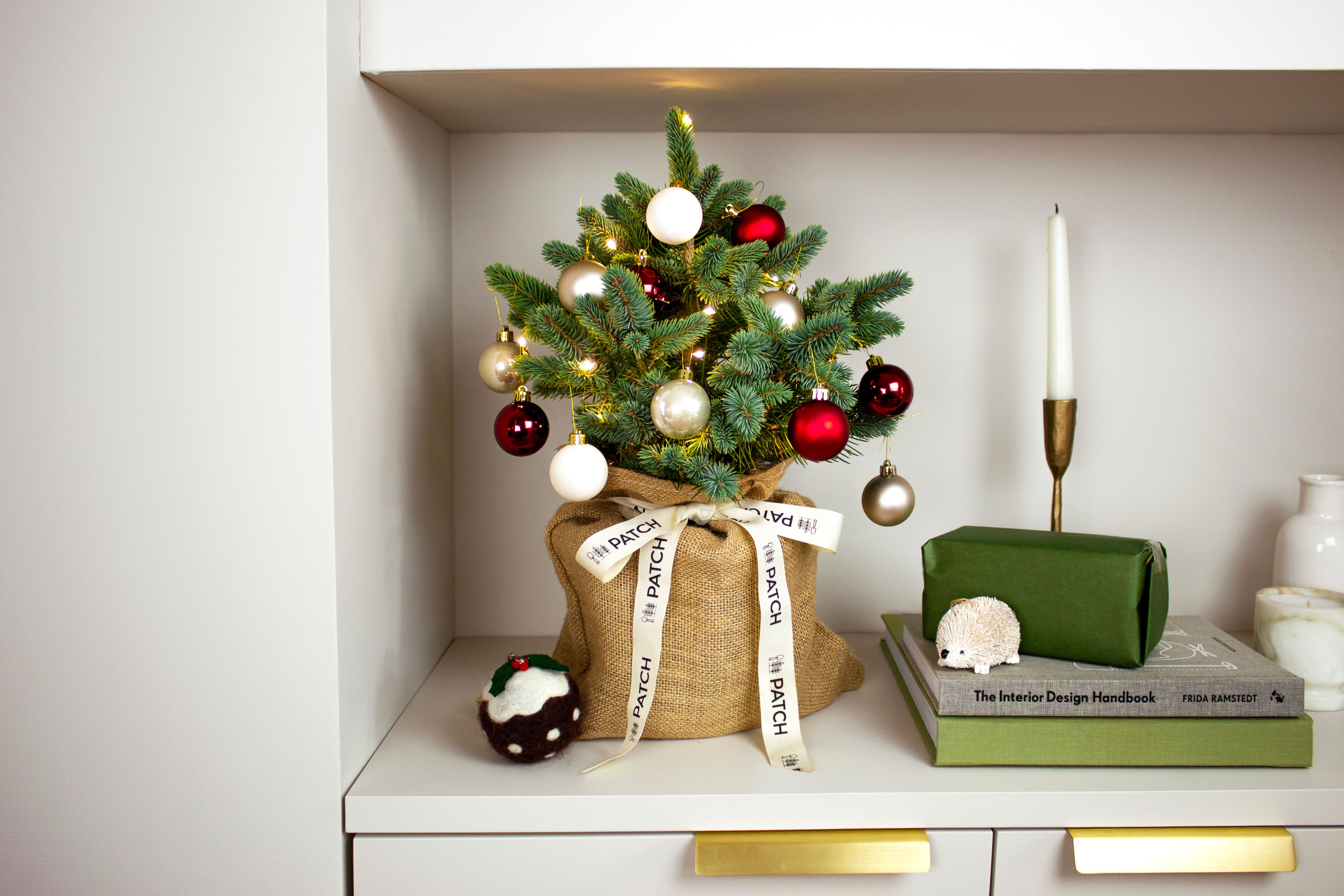 A mini Christmas tree decorated with red and white baubles sits on a bookshelf.