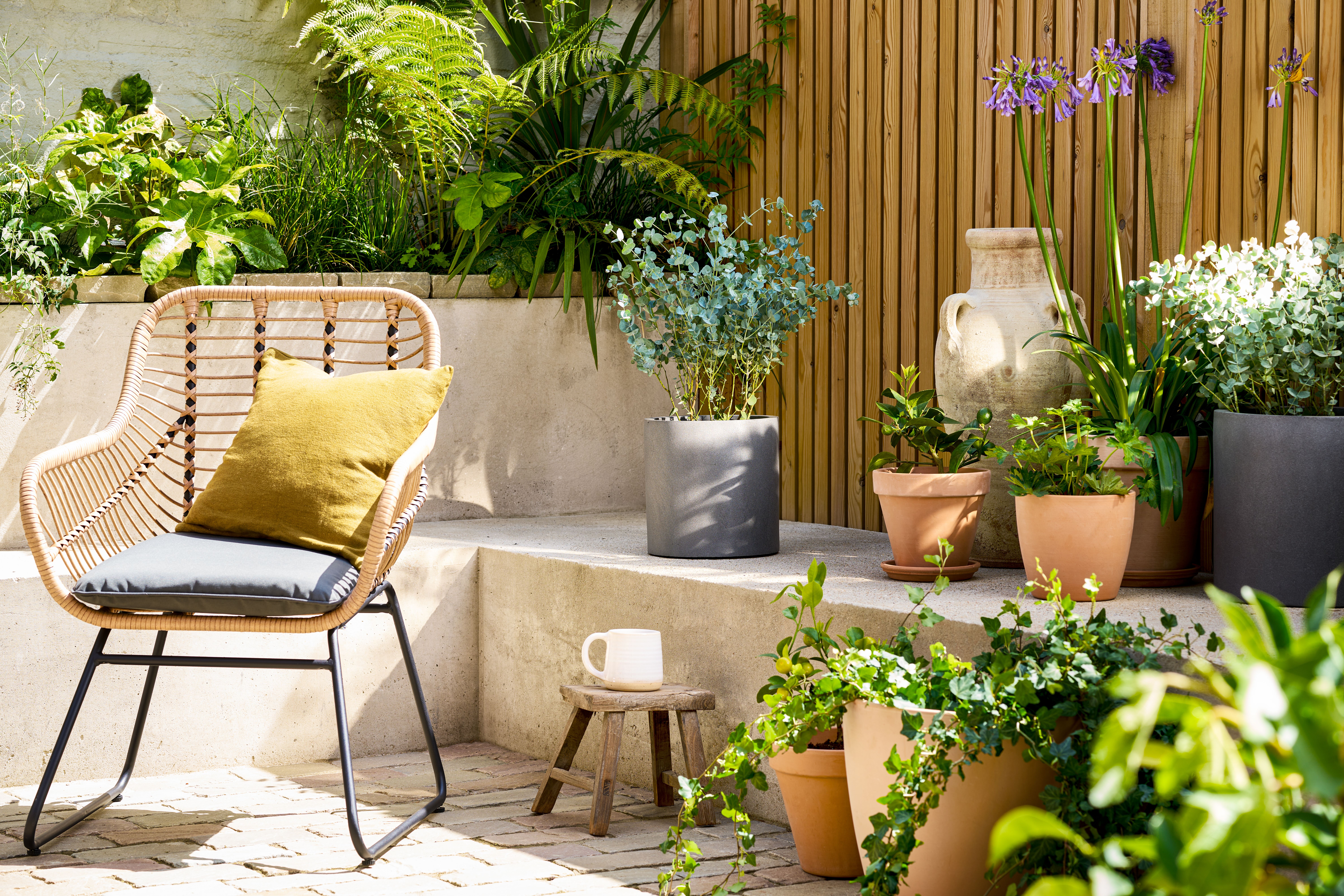 A selection of plantsin terracotta and grey pots sit next to a rattan garden chair, decorated with a yellow cushion