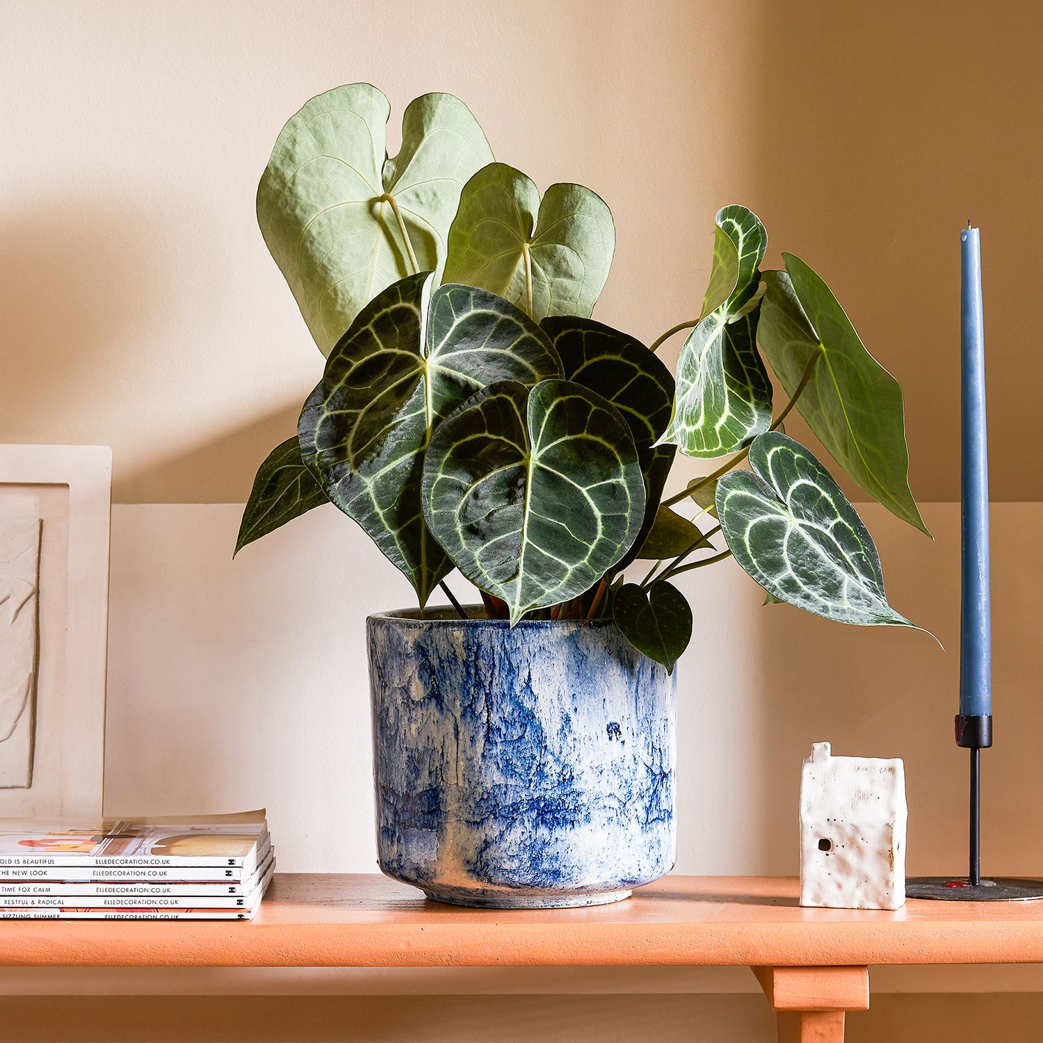 A houseplant in a blue pot is sitting on a sideboard in front of a striped wall