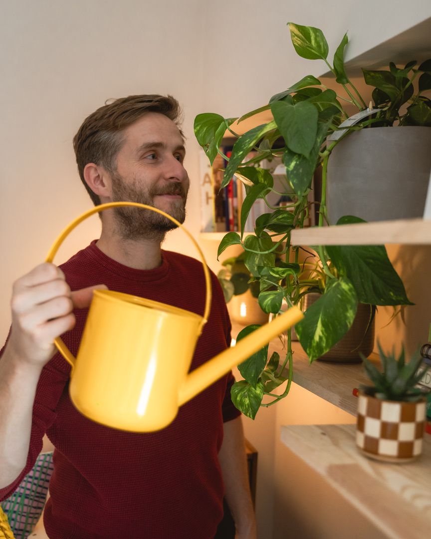 A man wearing a red jumper is watering plants on a bookshelf using a yellow watering can