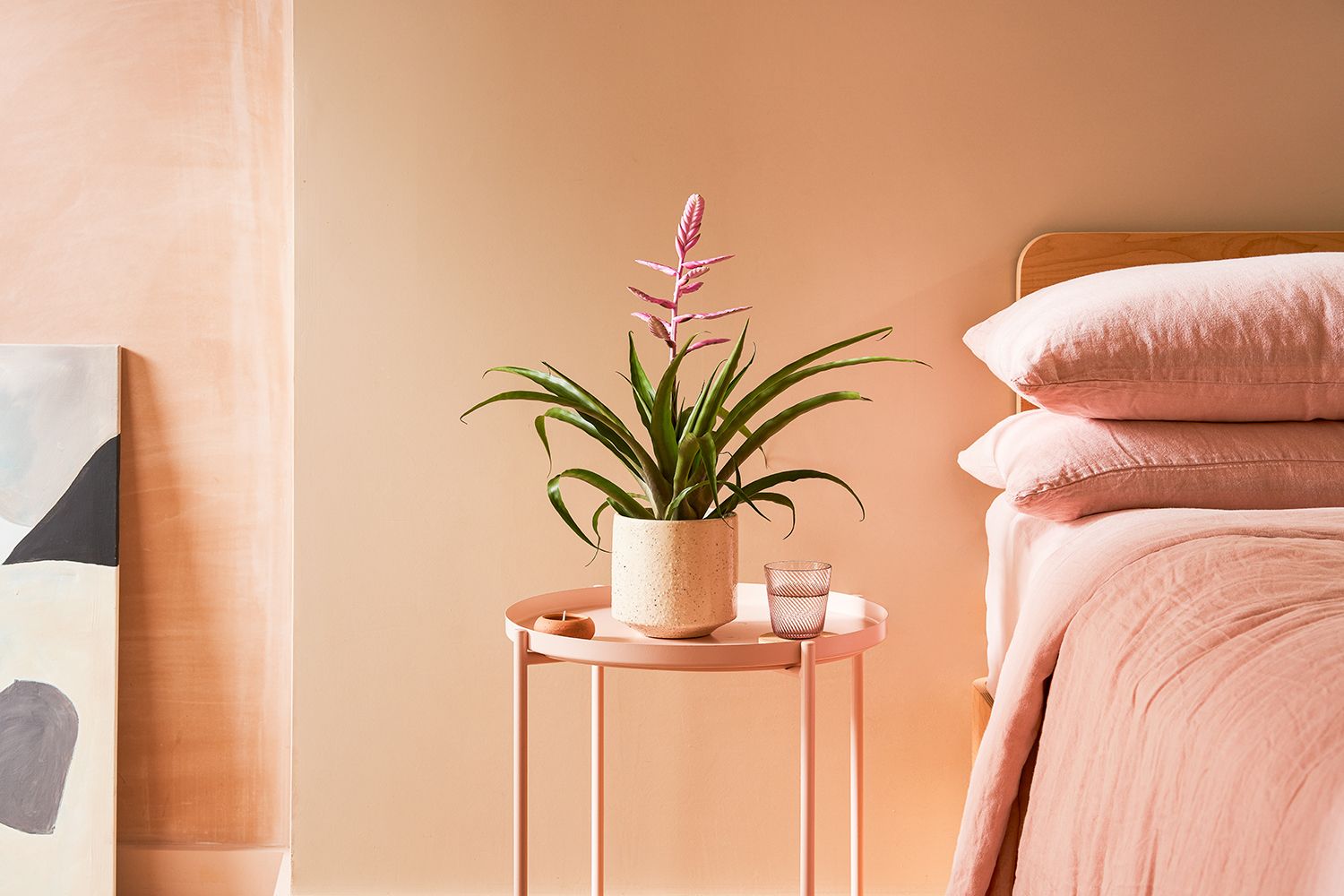 A pink tillandsia plant sits on a side table next to a bed