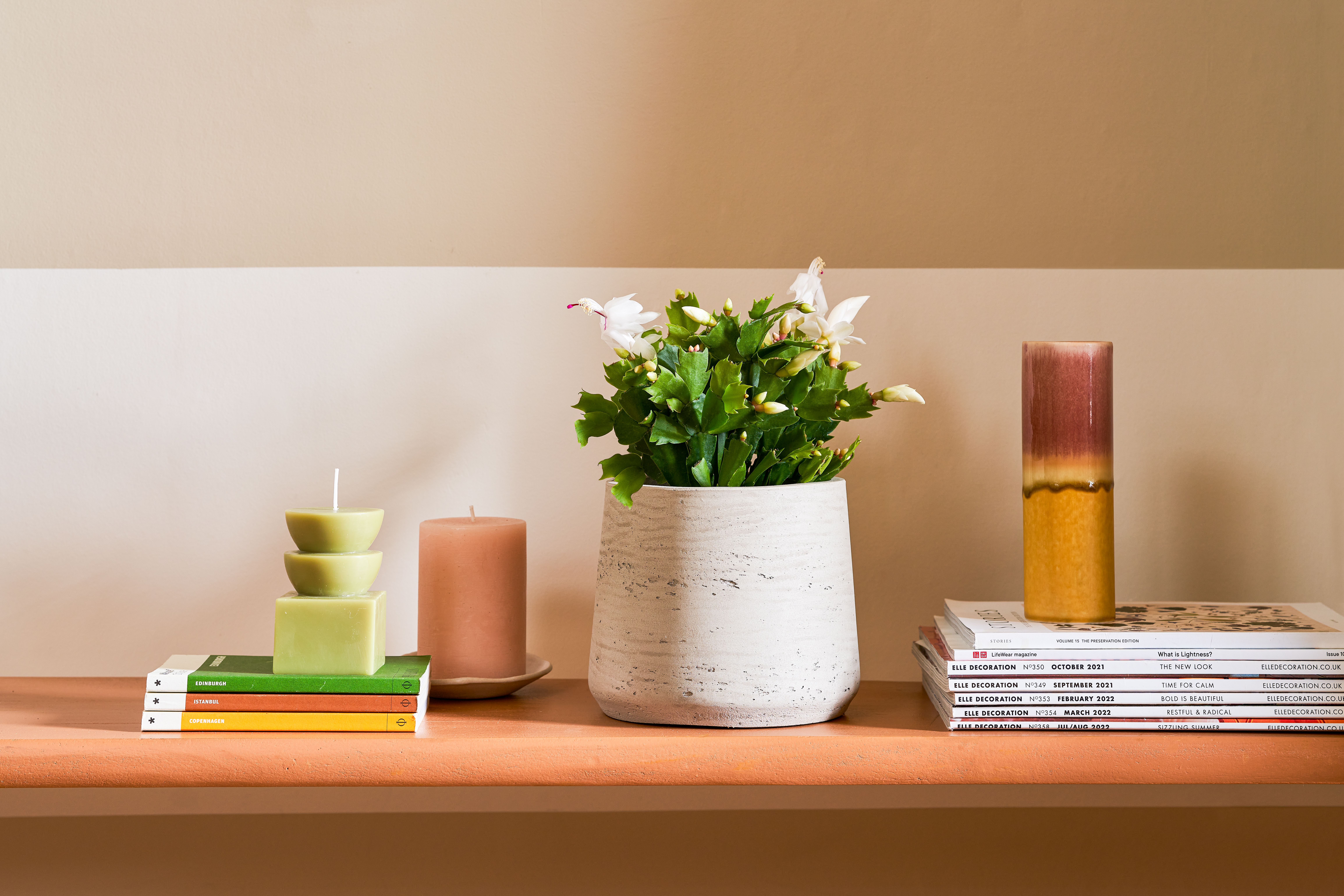 A white Christmas cactus is planted in a pale clay pot, and sitting on a terracotta shelf next to a series of candles and magazines.