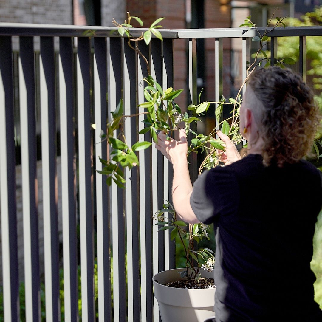 A woman wearing a black T-shirt is tying a climbing plant to grey balcony railings.