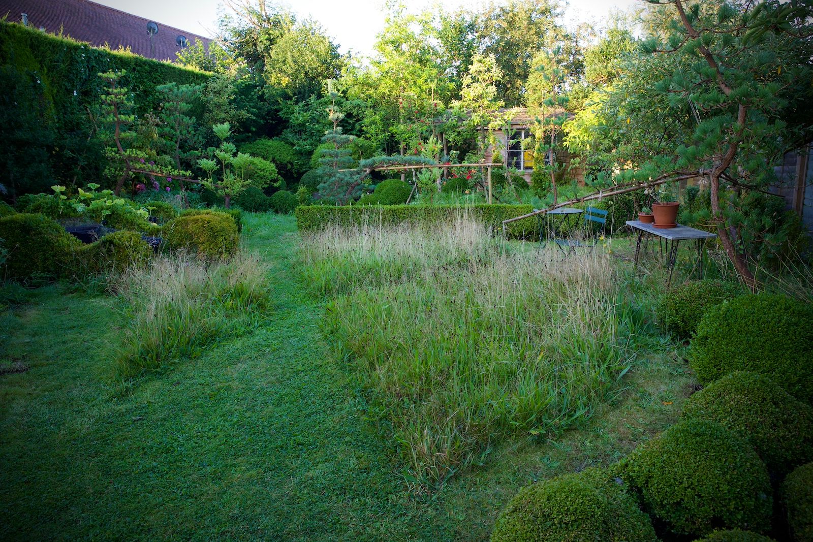 A photograph of Jake Hobson's garden, with curved confiers and box around taller trees and wild patches of grass