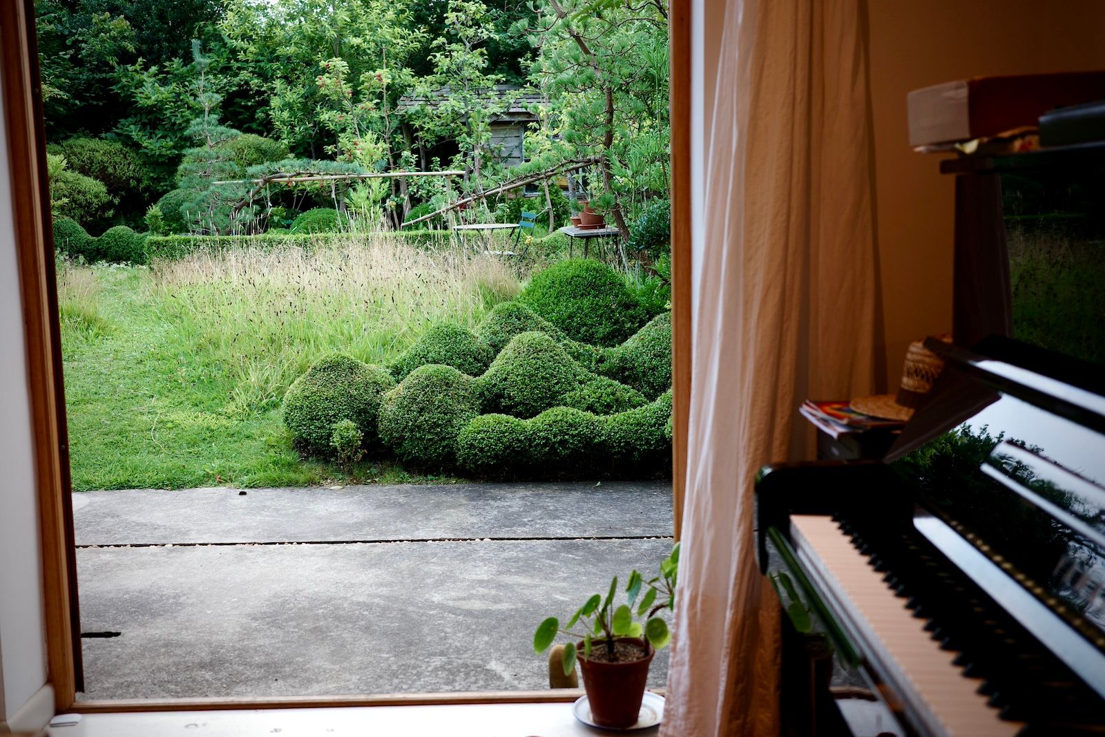 A photograph of Jake Hobson's garden, taken from indoors with the view outside. Inside, a black piano can be seen, and outside a series of pruned confiers in waving shapes.