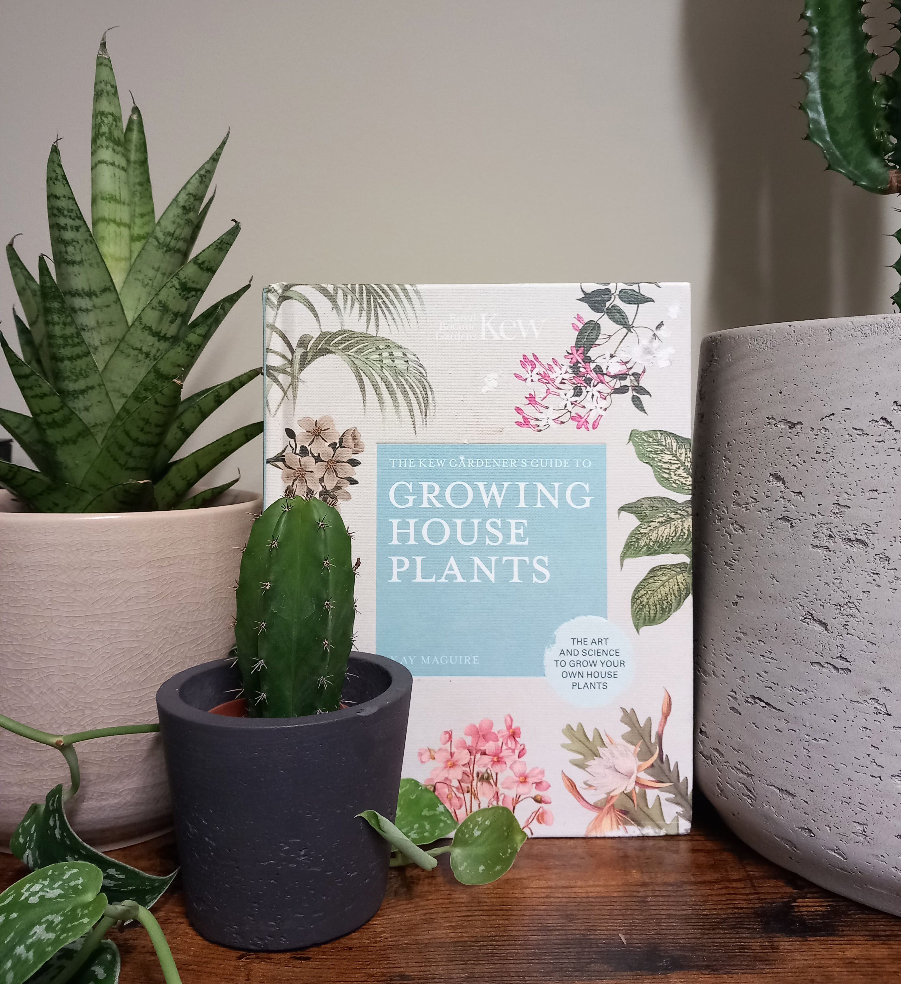 A small book with a grey border reads 'Growing House Plants' and is propped among plants