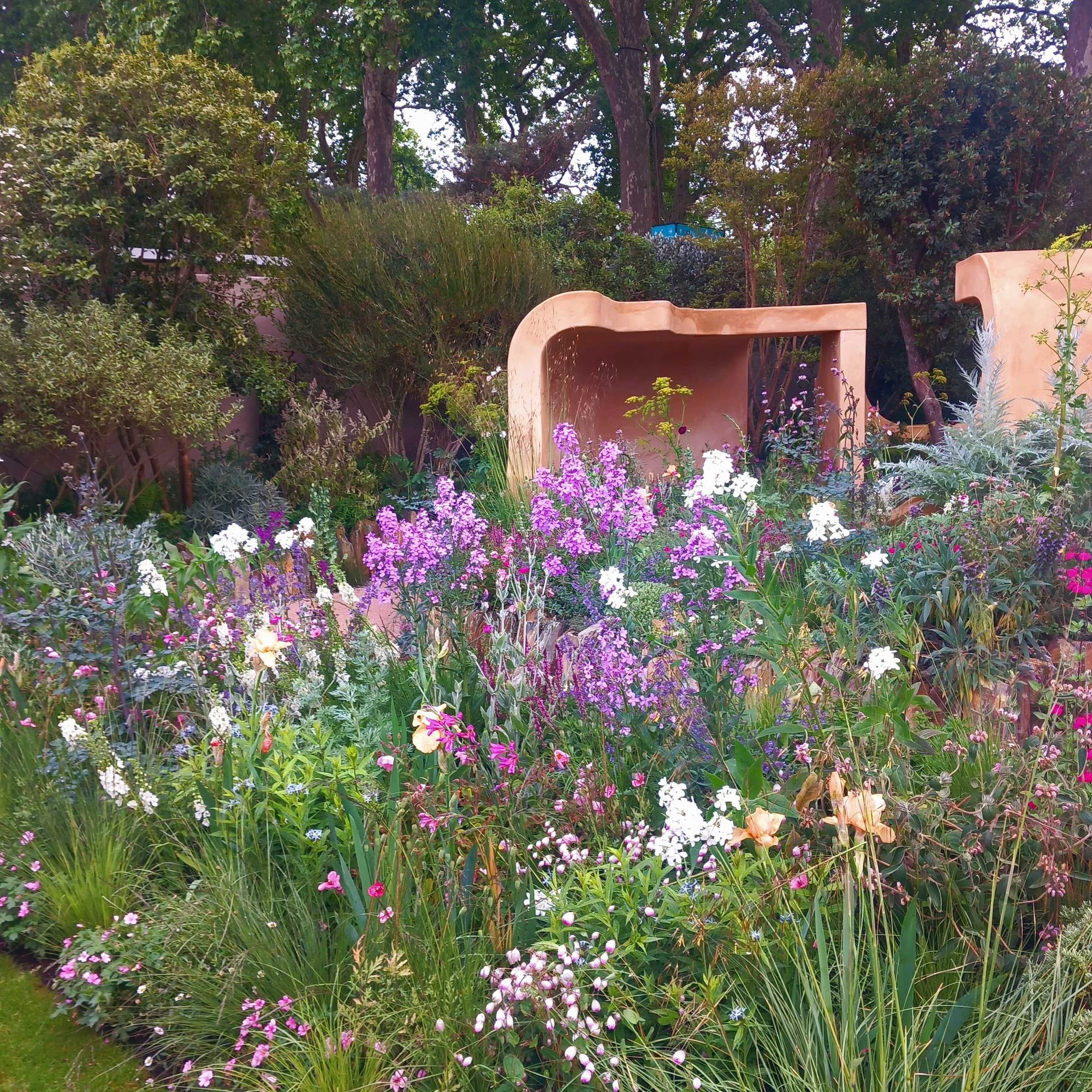 A bed of purple and white flowers at the Lady Garden Foundation ‘Silent No More’ Garden