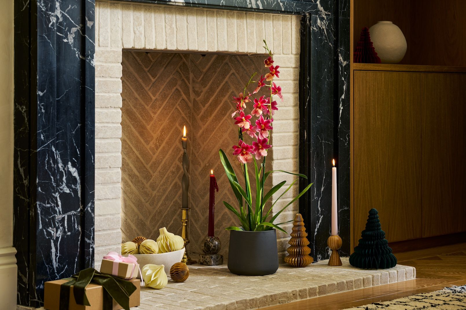 A Cambria 'Nelly Isler' orchid sits in a fireplace surrounded by candles and paper baubles