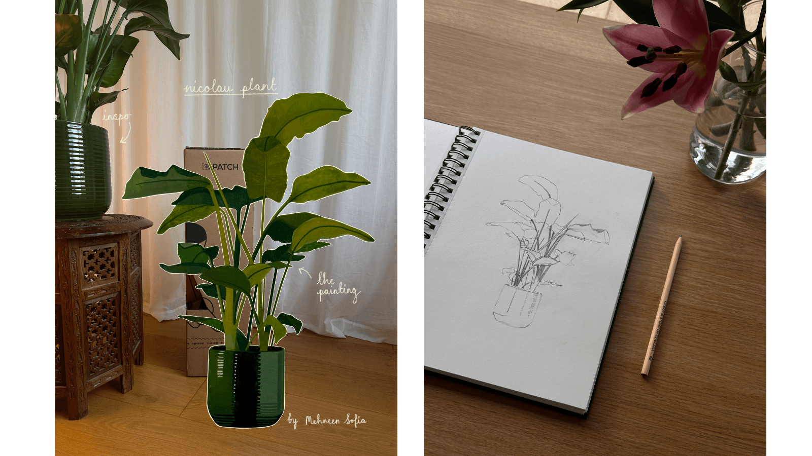 A painting of a Bird of Paradise plant super-imposed on a photograph of a real plant. Next to it is a photo of the painting being sketched