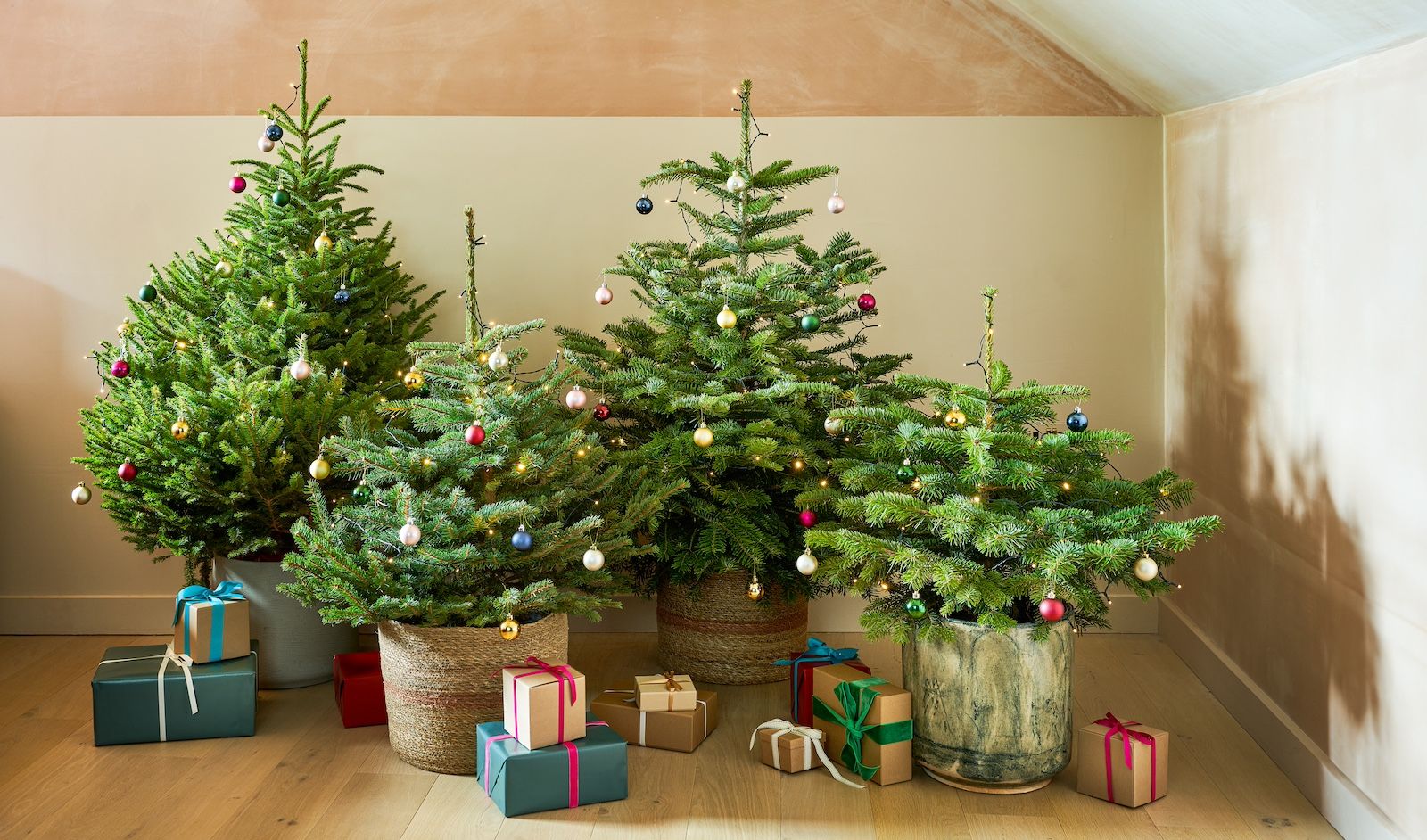 Four Christmas trees of different heights, decorated with colourful baubles and surrounded by presents.