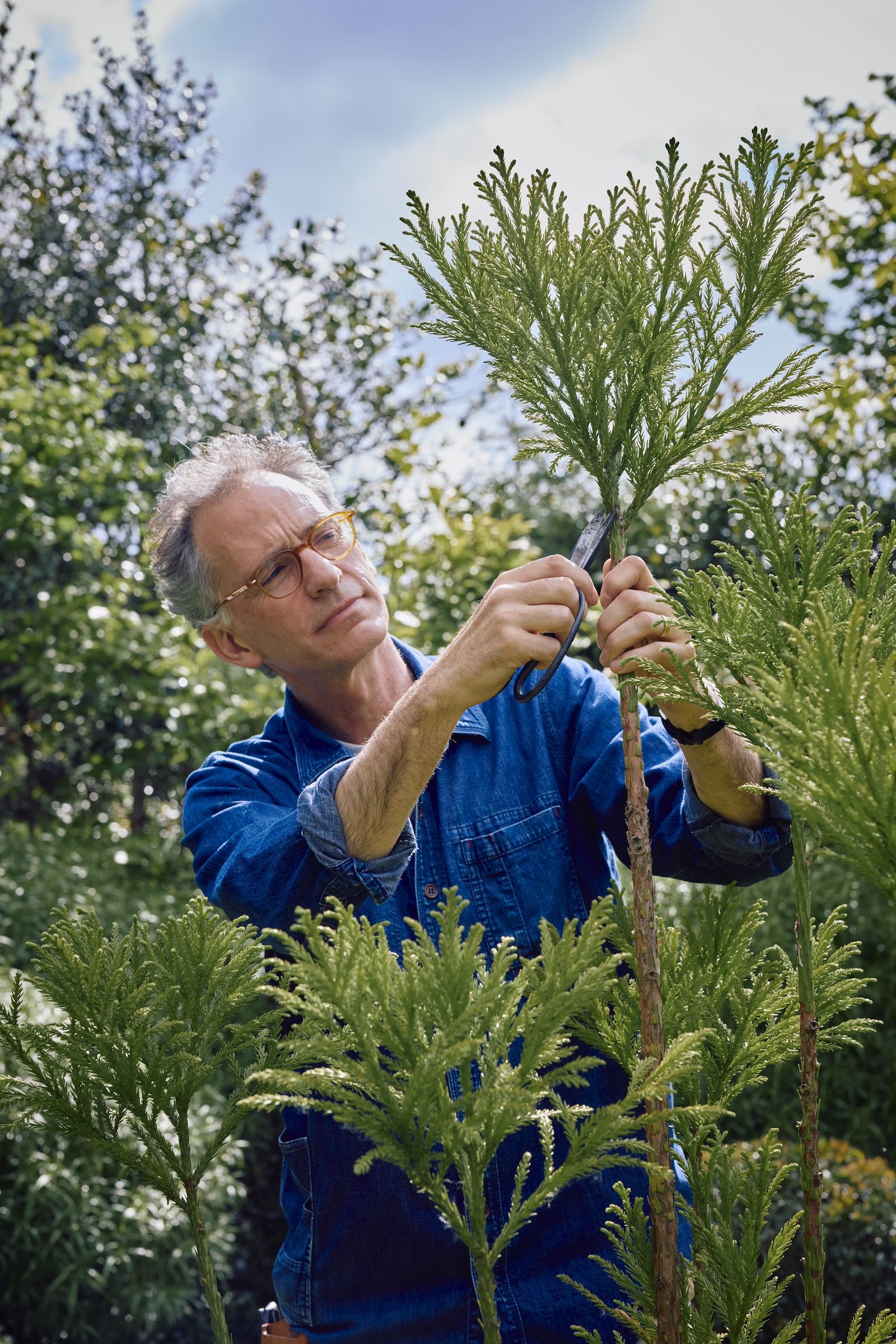 Jake Hobson wears a blue shirt and glassses, and is pruning plant.