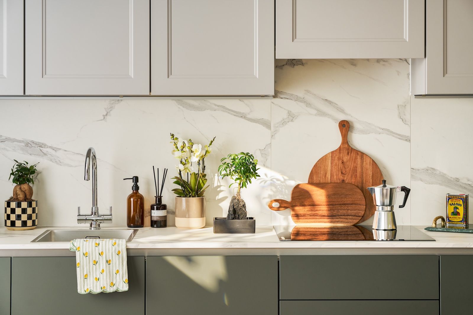An orchid, Shefflera on lava and Ficus ginseng decorated a marble kitchen worktop