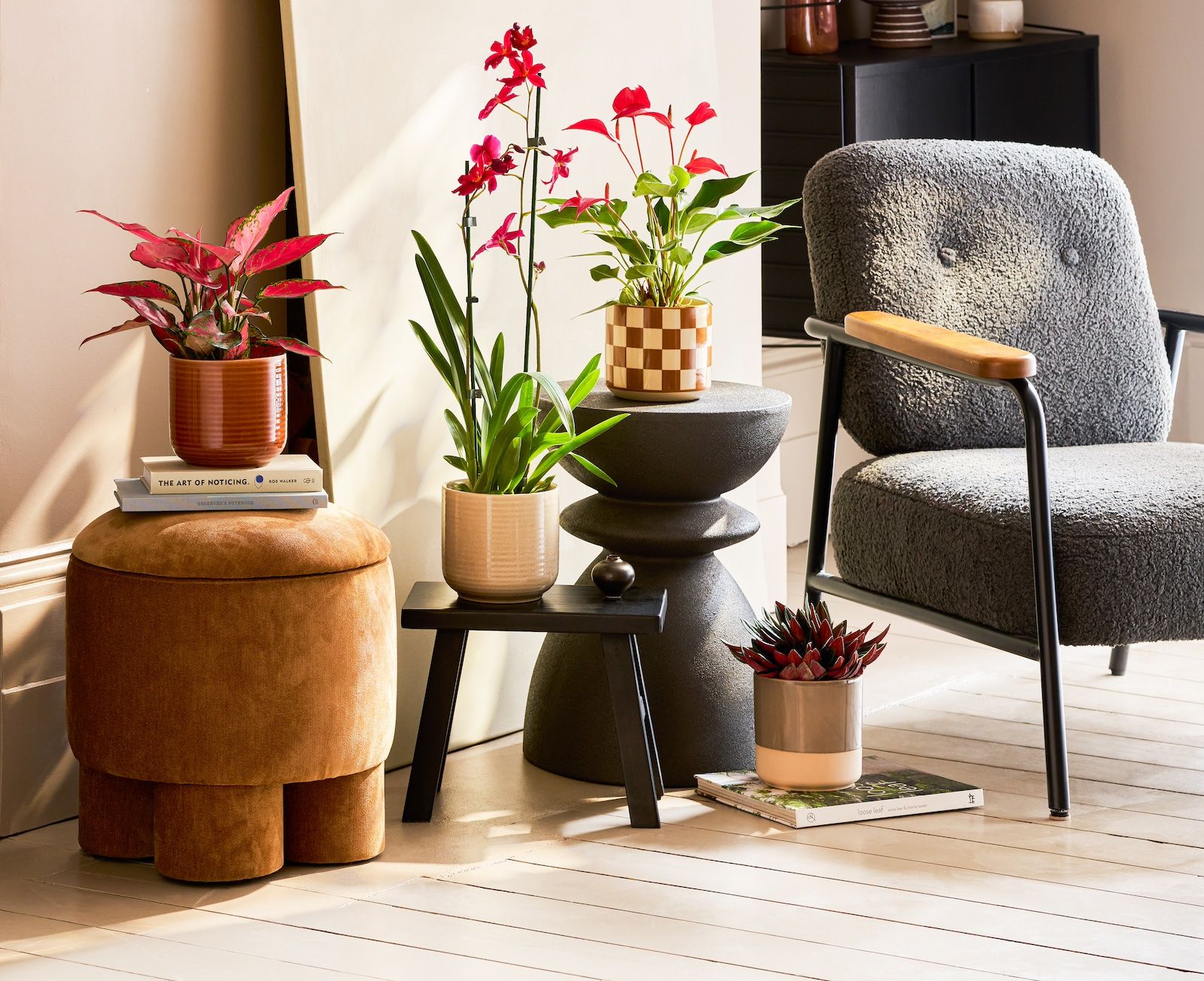 A selection of red plants and earthy toned pots sit on tables next to a grey armchair