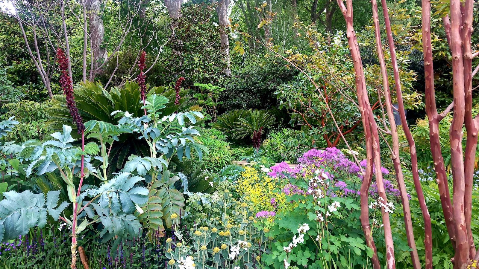 Tom Stuart Smith’s The Tate Britain Garden, featuring tropical plants and flowers