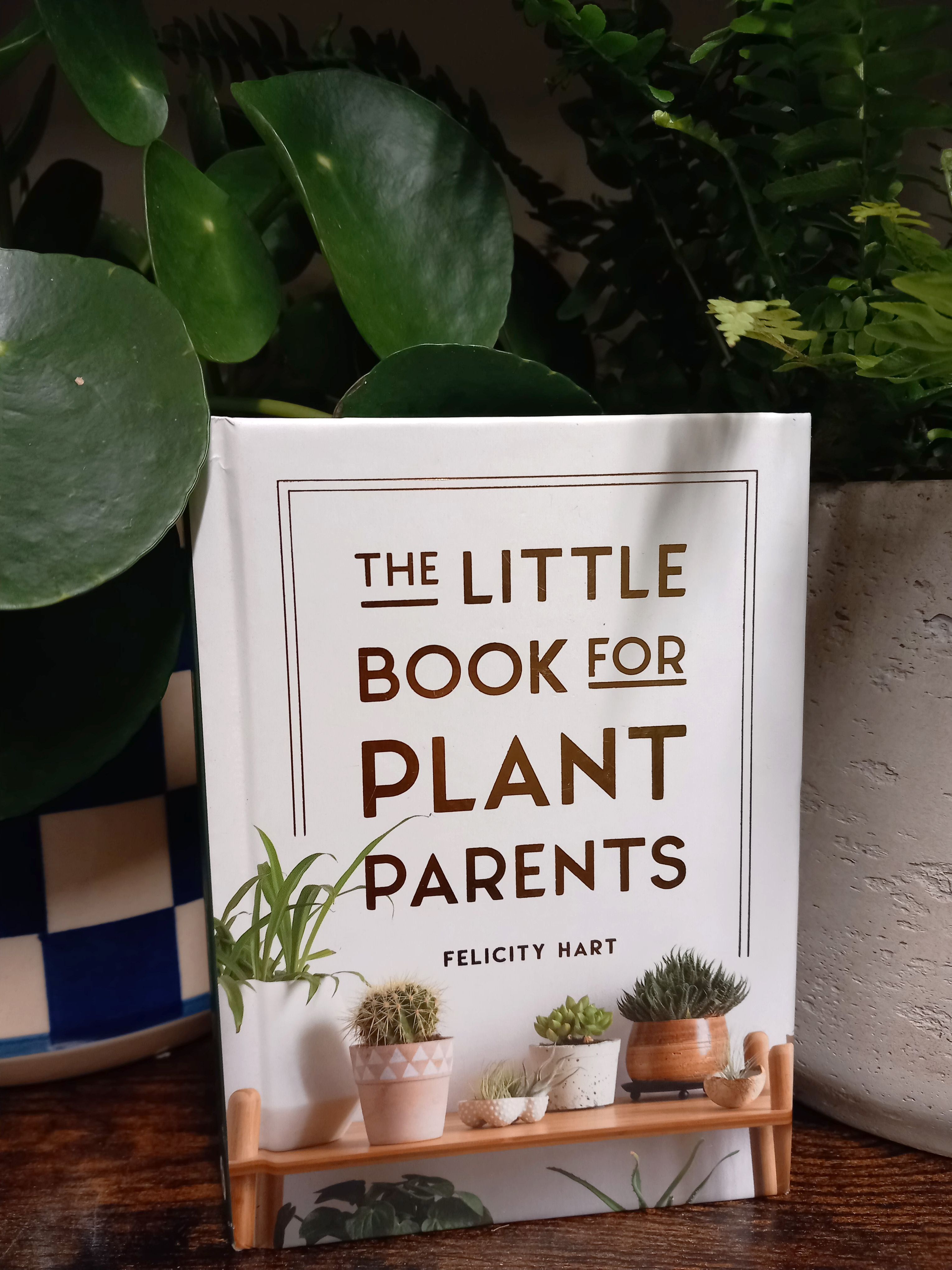 A white book reading 'The Little Book for Plant Parents' is propped against a checkered pot