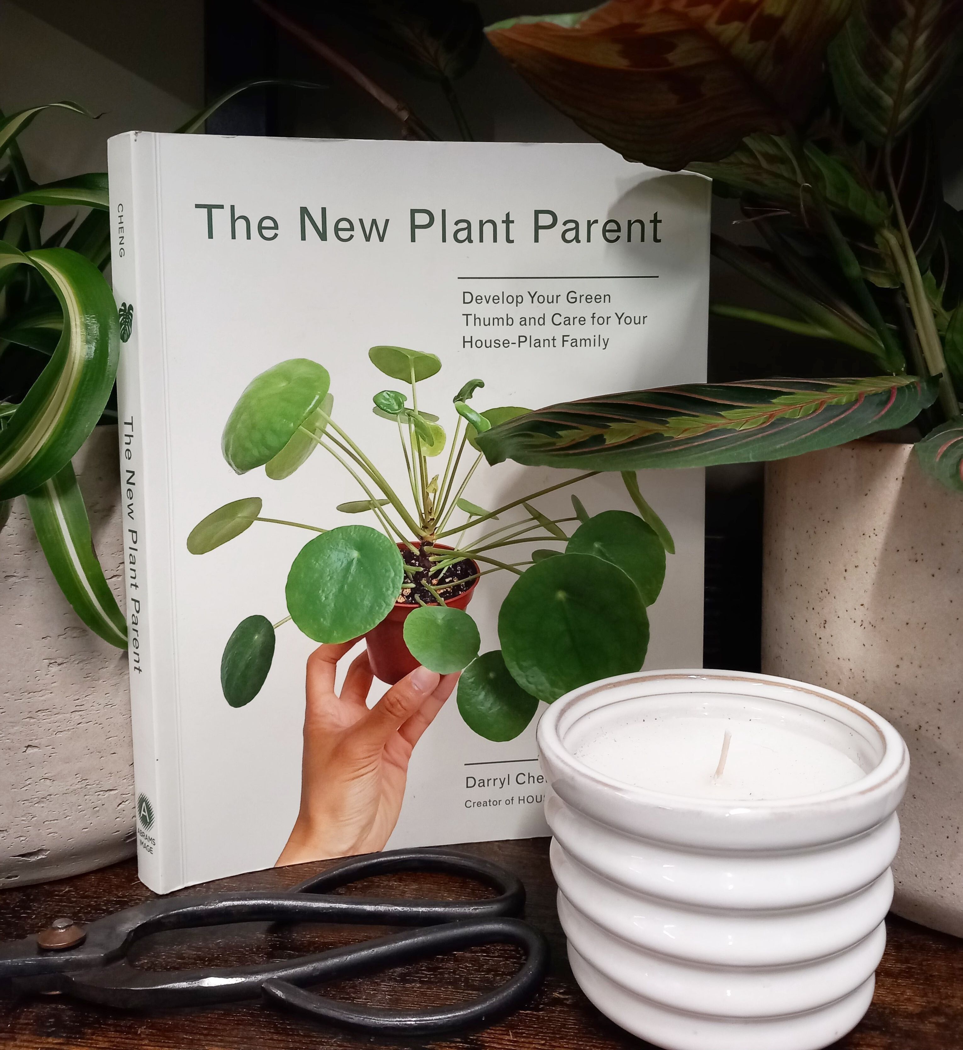 A white book with a Chinese money plant on the cover and the title 'The New Plant Parent' is propped among some plants